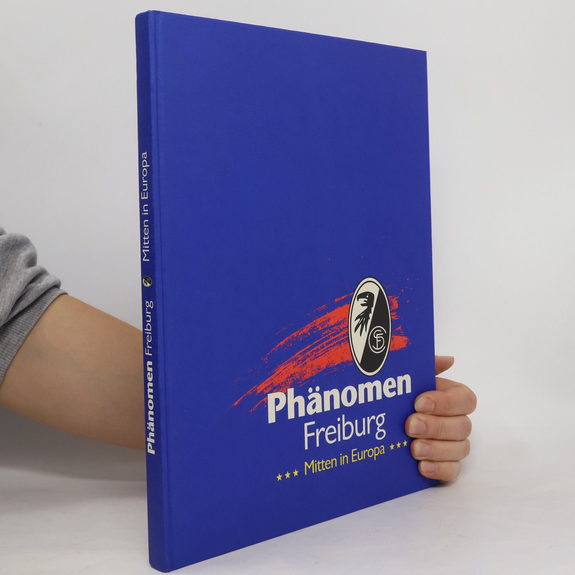 AA.VV. Phänomen Freiburg. Mitten in Europa