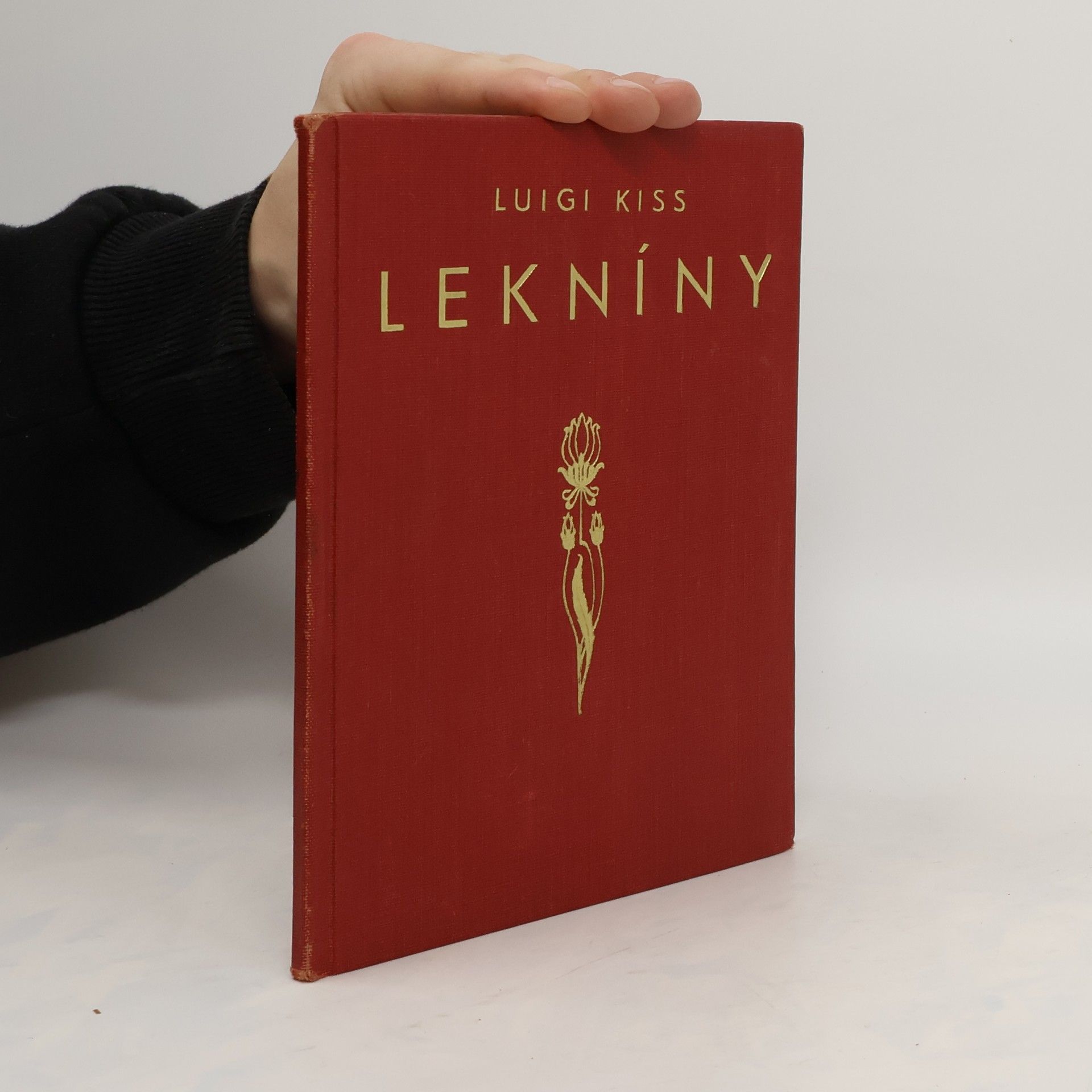 Luigi Kiss Lekníny intimních nálad