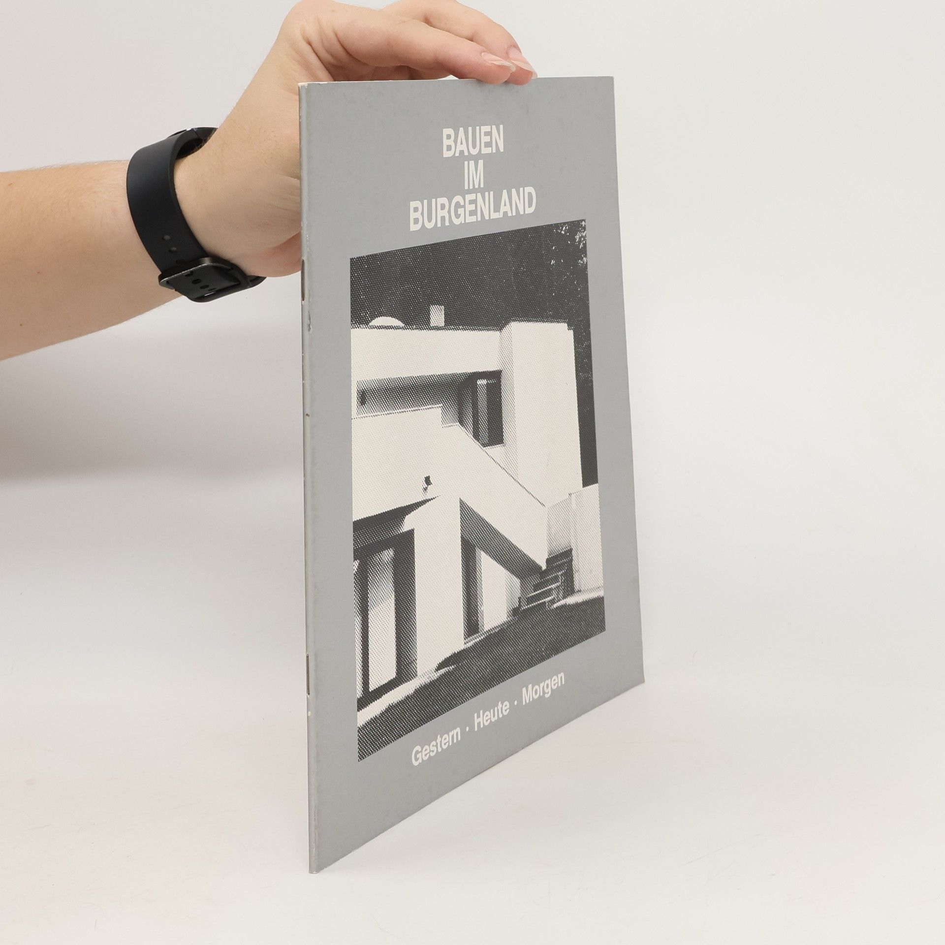 Auteurscollectief Bauen im Burgenland