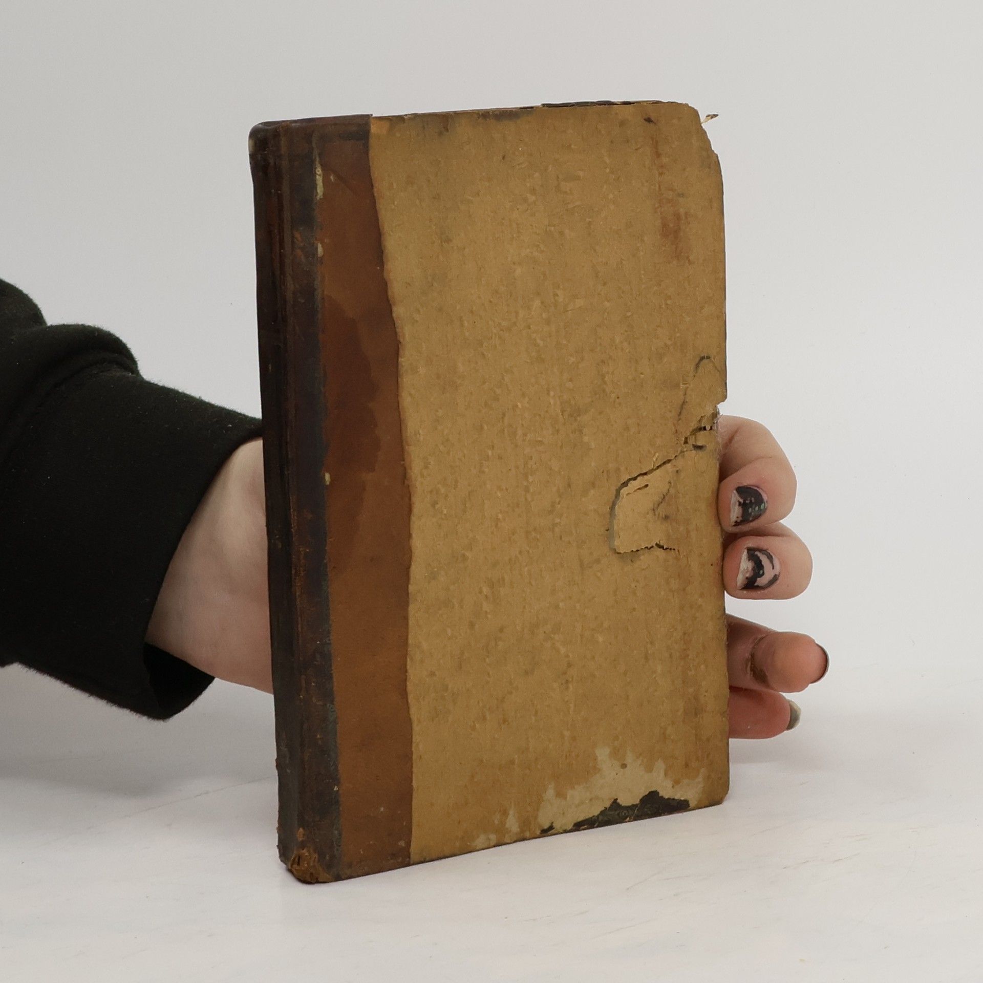 Kolektiv autorů Radostná cesta