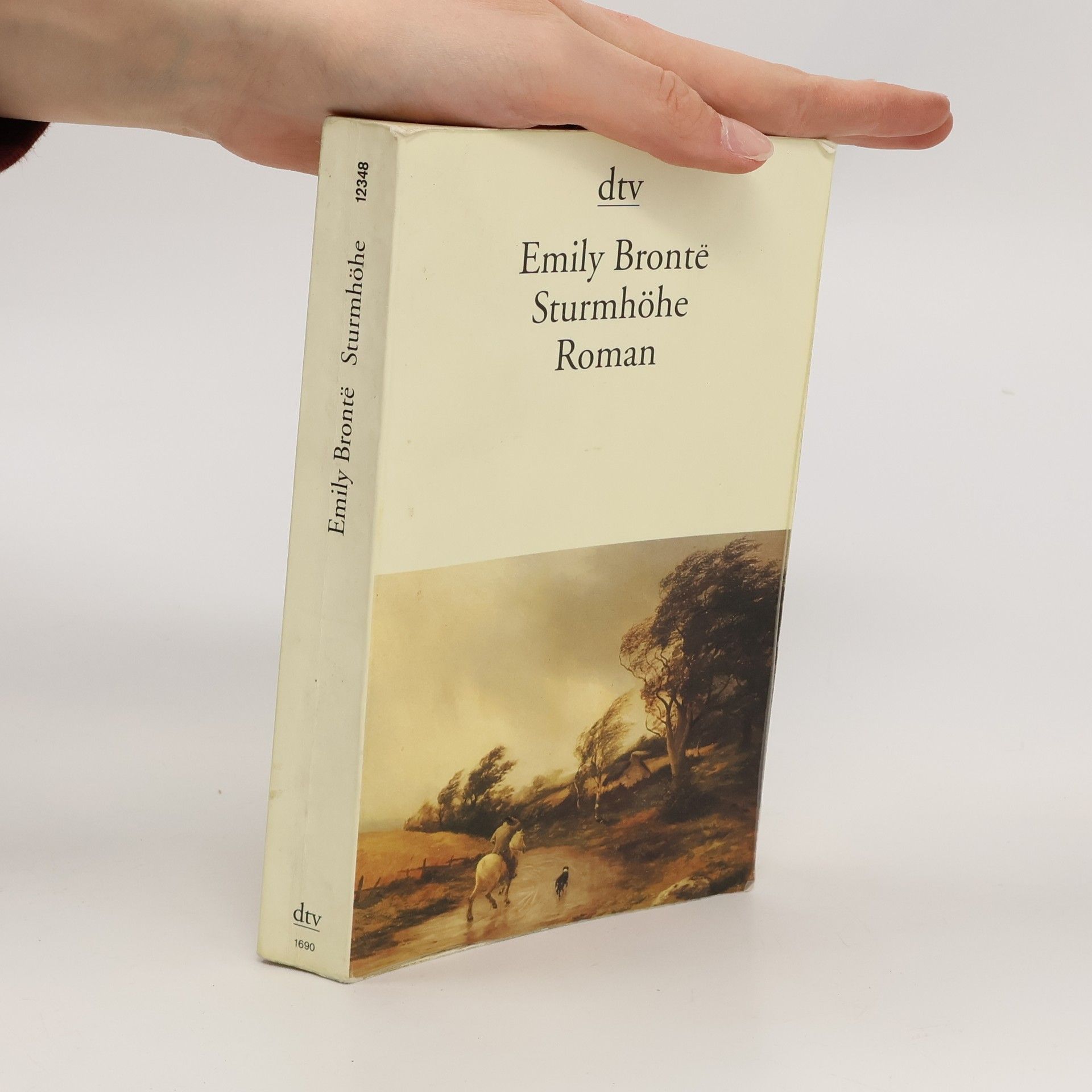 Emily Brontë Sturmhöhe