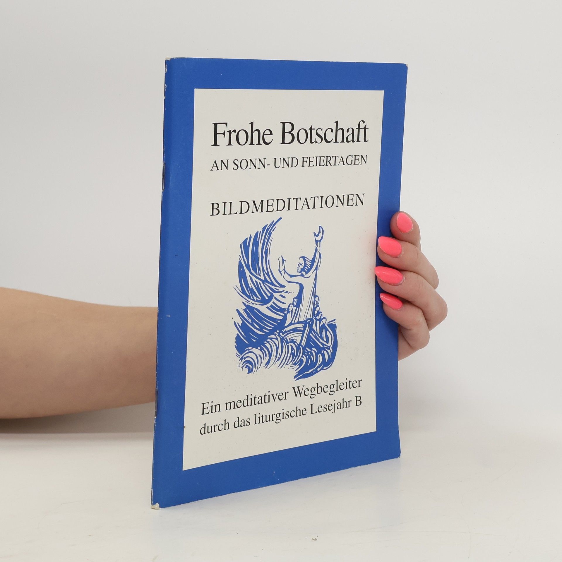 Auteurscollectief Frohe Botschaft an Sonn- und Feiertagen. Bildmeditationen