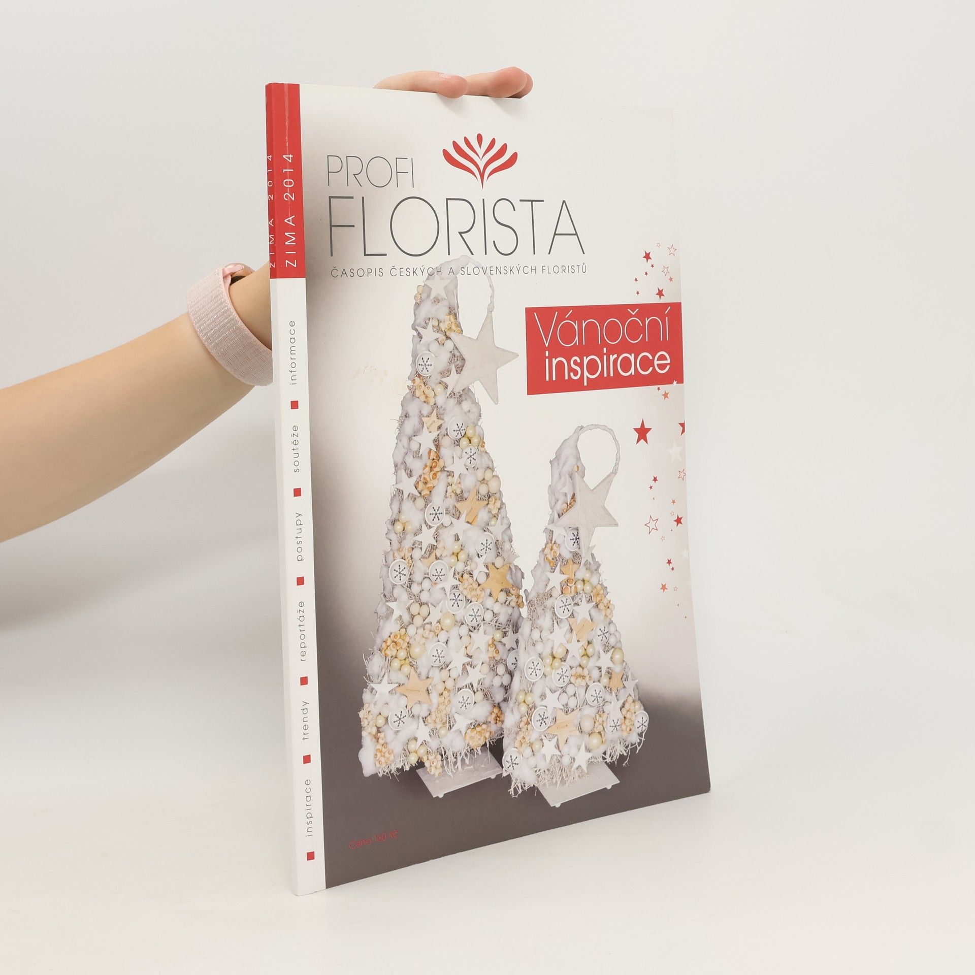 Autorenkollektiv Profi Florista, Vánoční inspirace, zima 2014