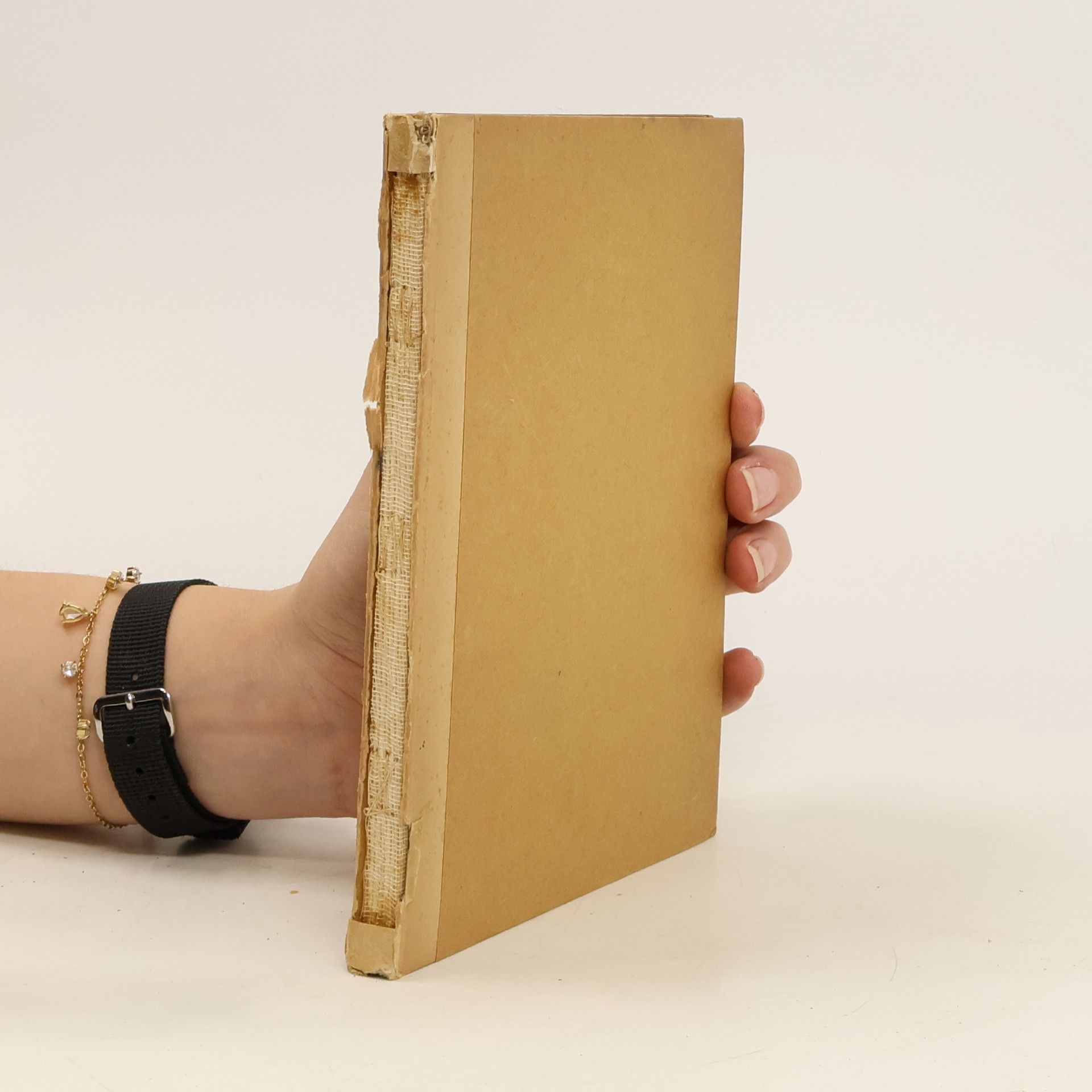 Franziskus von Assisi