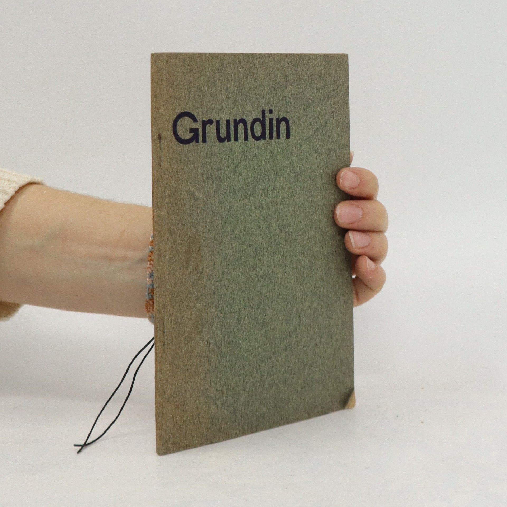 Autorenkollektiv Grundin. Das beste Grundiermittel für Holz und Mauerwerk