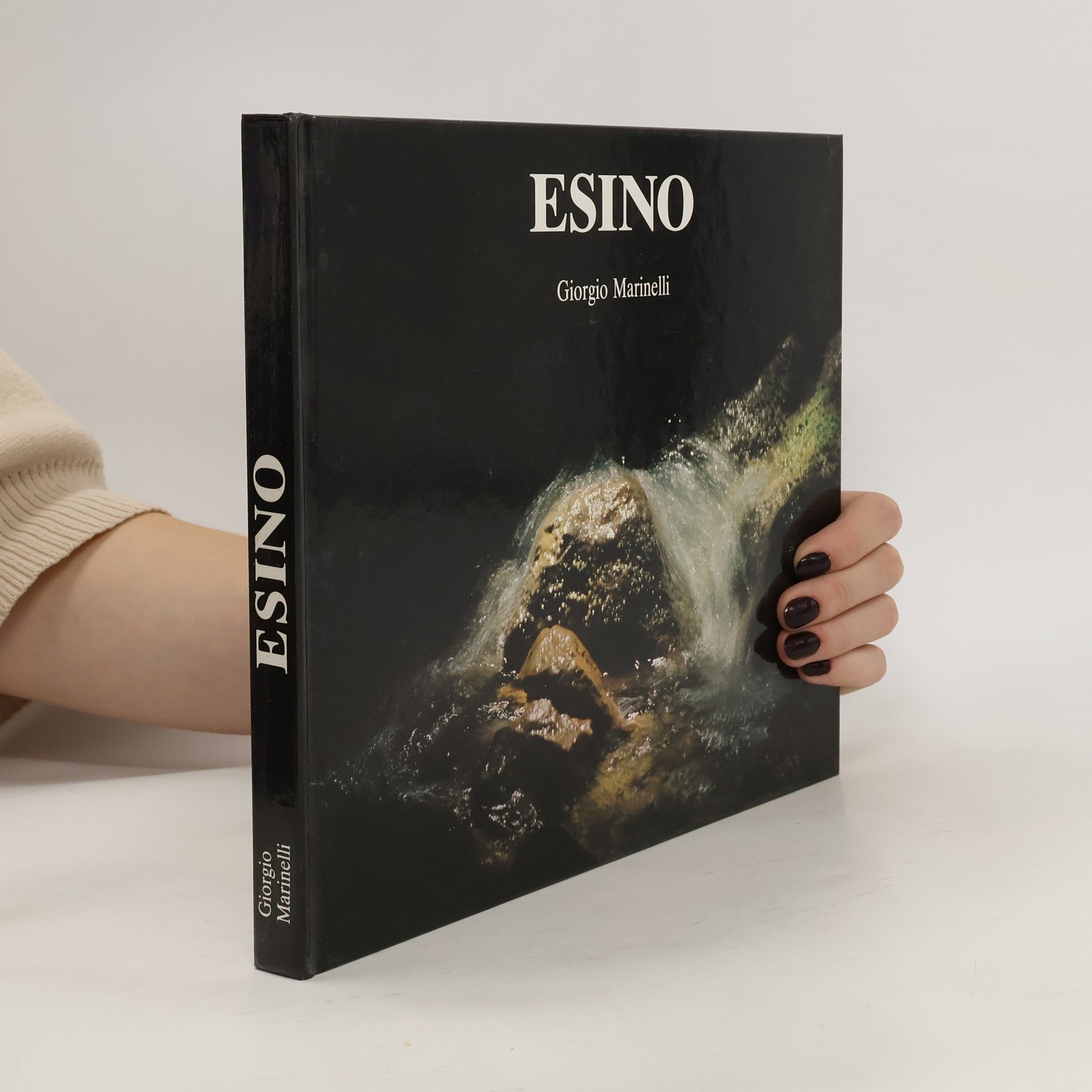 Giorgio Marinelli Esino