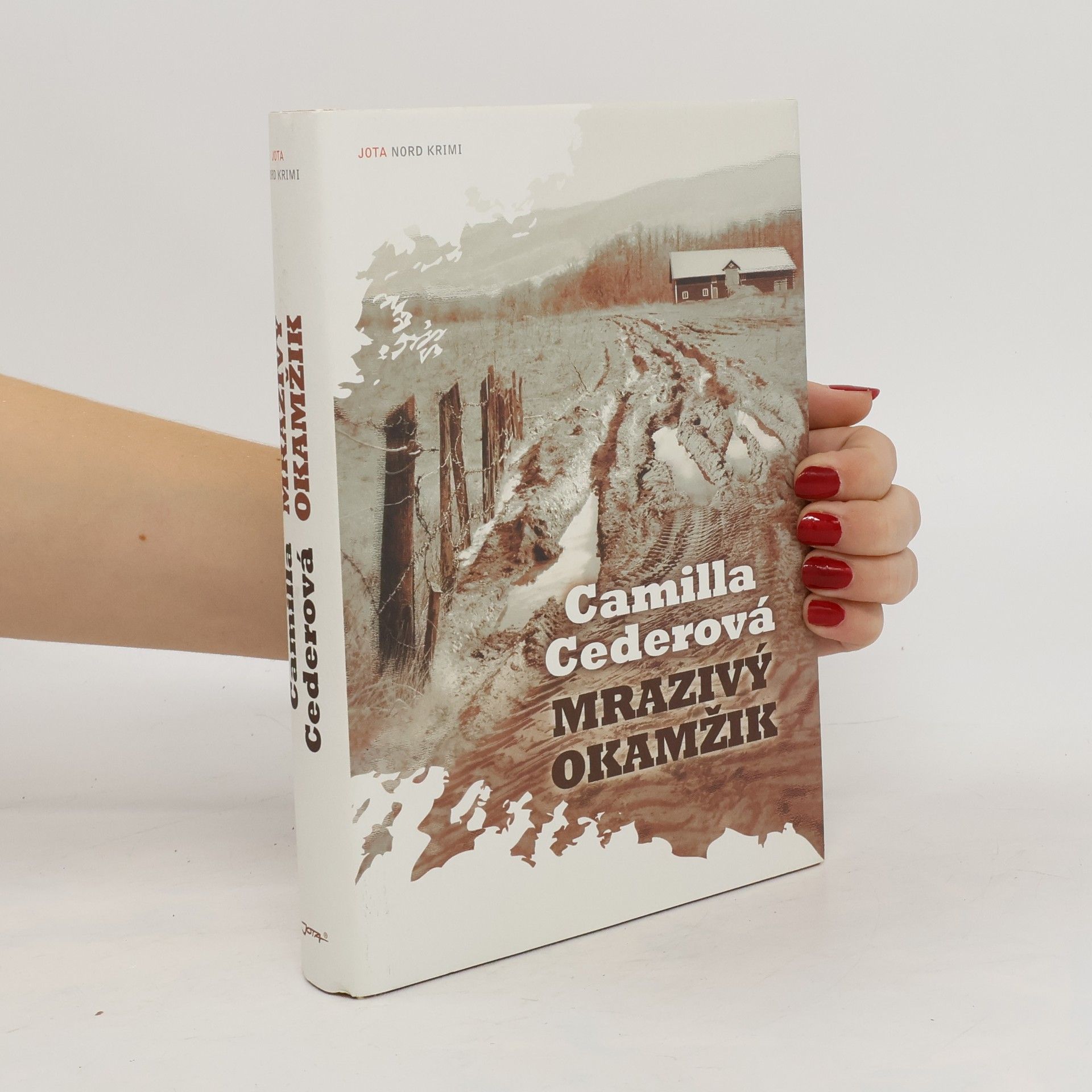 Camilla Ceder Mrazivý okamžik