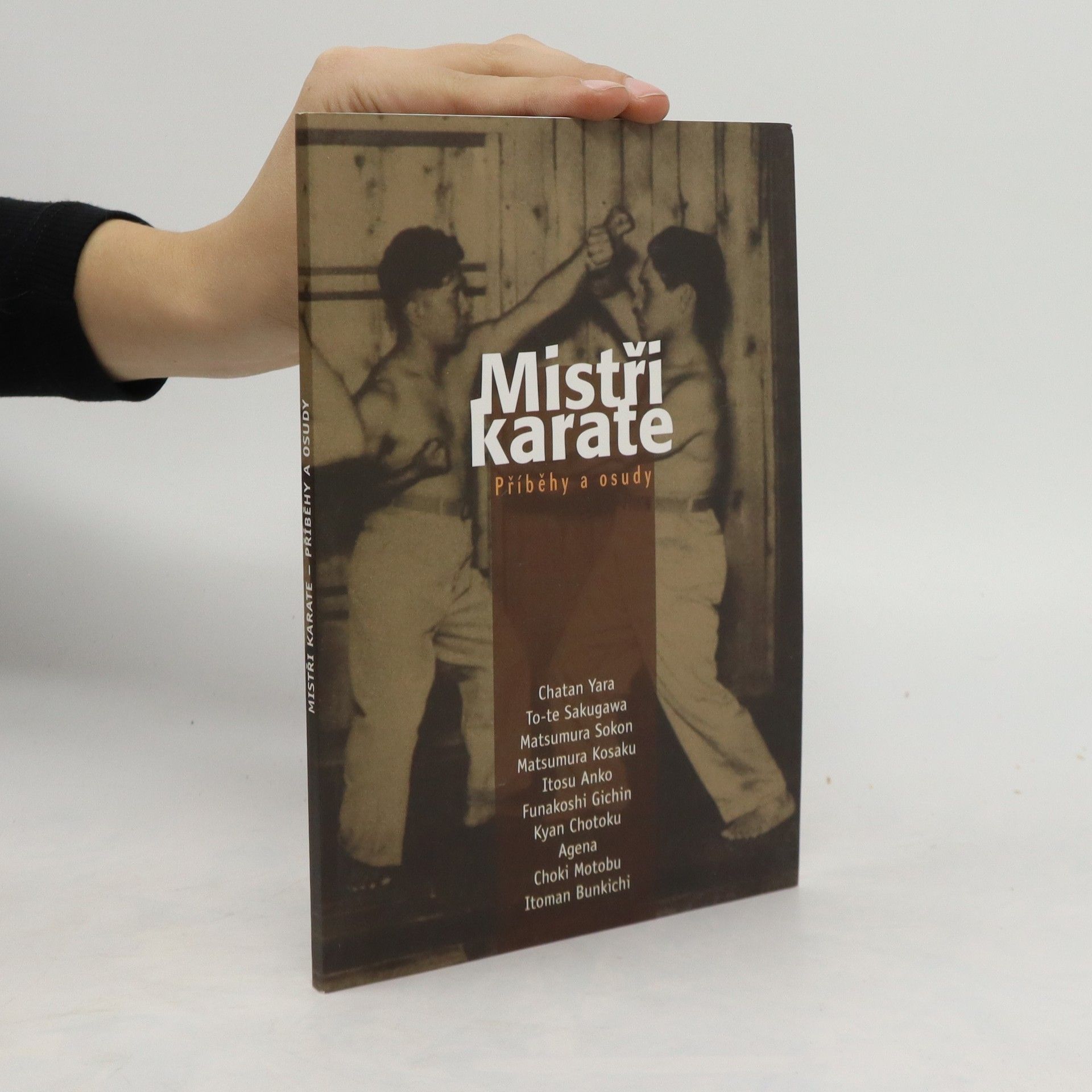 Kolektiv autorů Mistři karate : příběhy a osudy