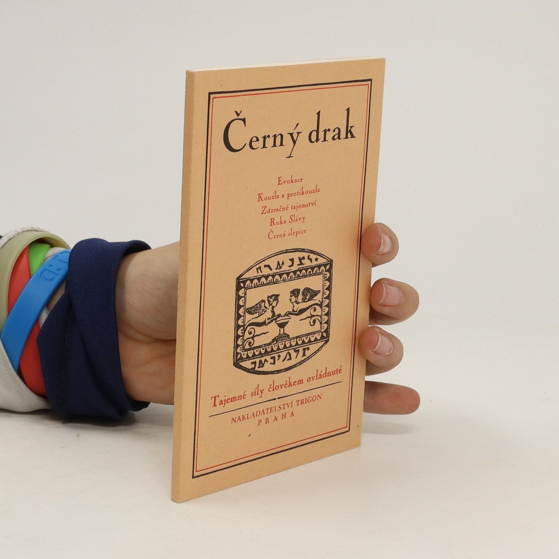 Autorenkollektiv Černý drak. Tajemné síly člověkem ovládnuté