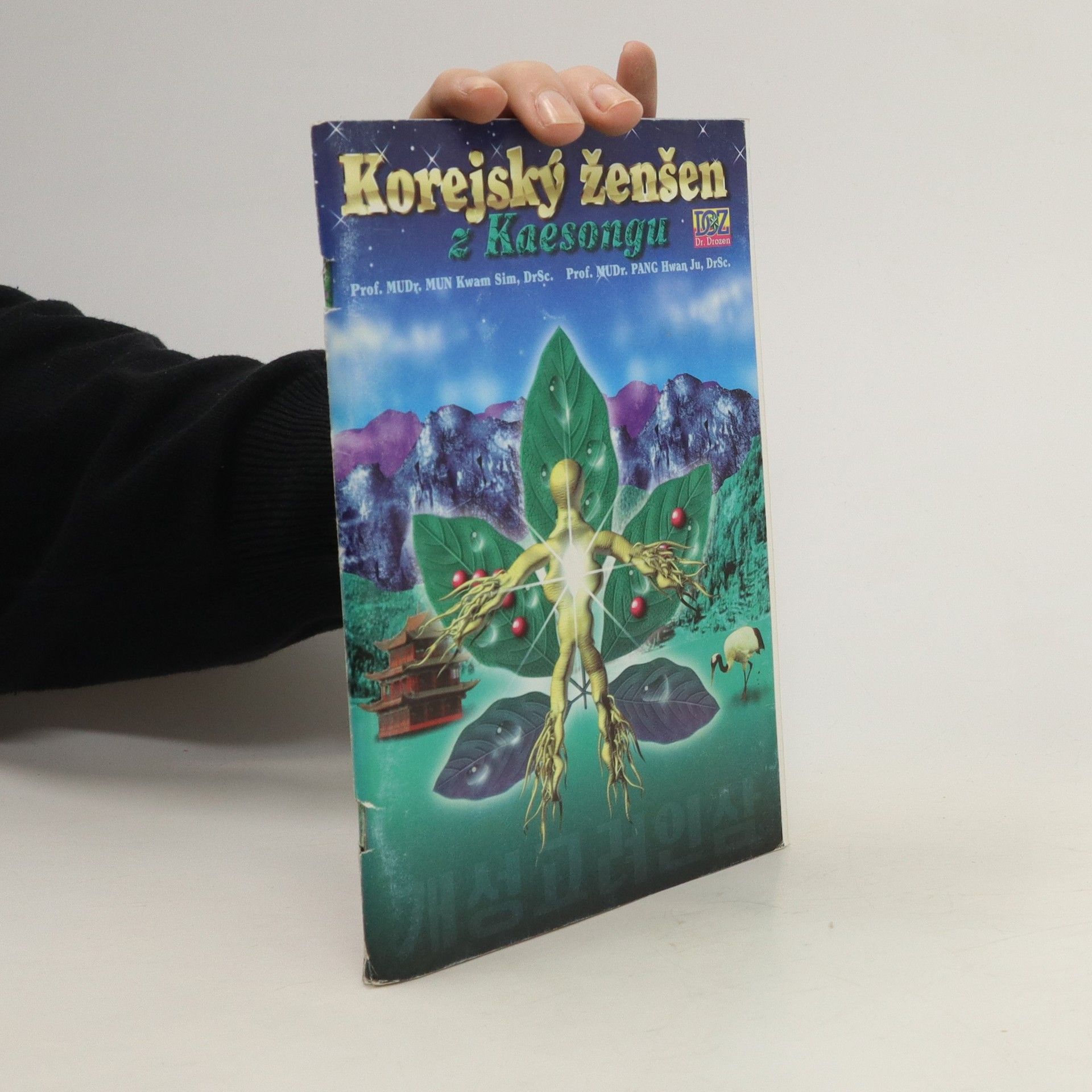 Kwam Sim Mun Korejský ženšen z Kaesongu