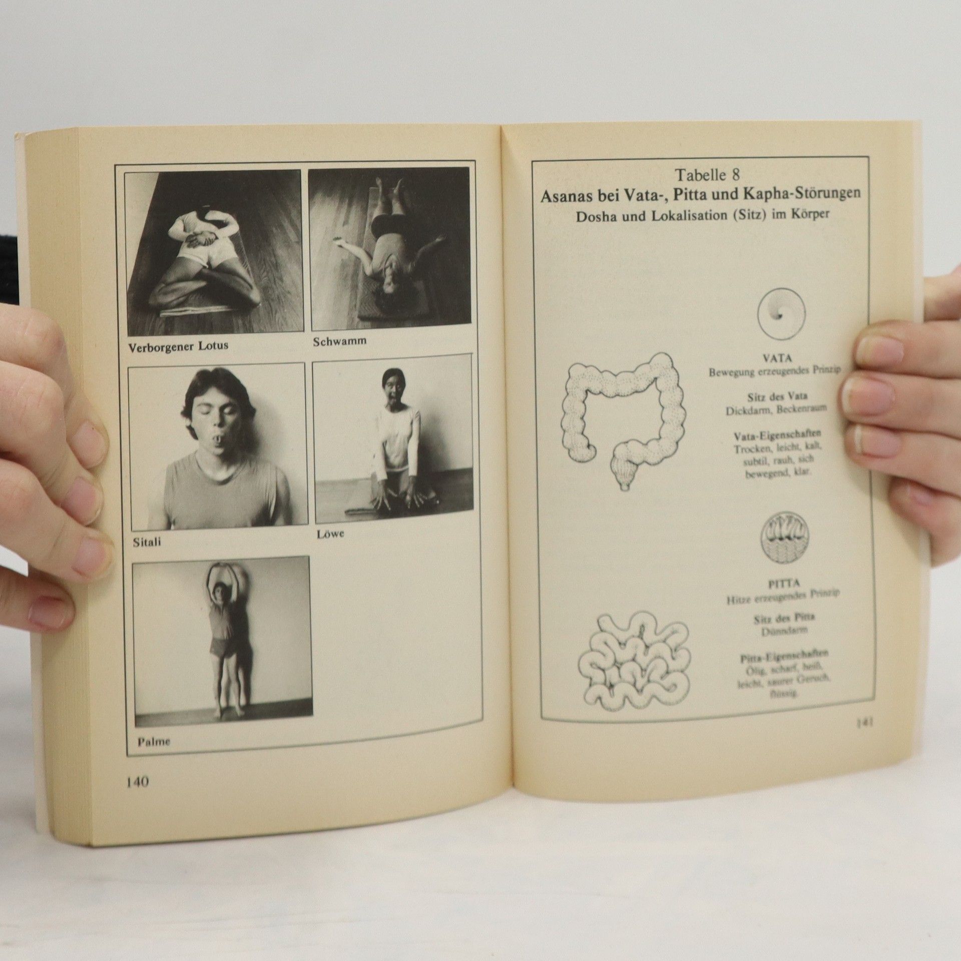 Vasant Lad Das Ayurweda-Heilbuch