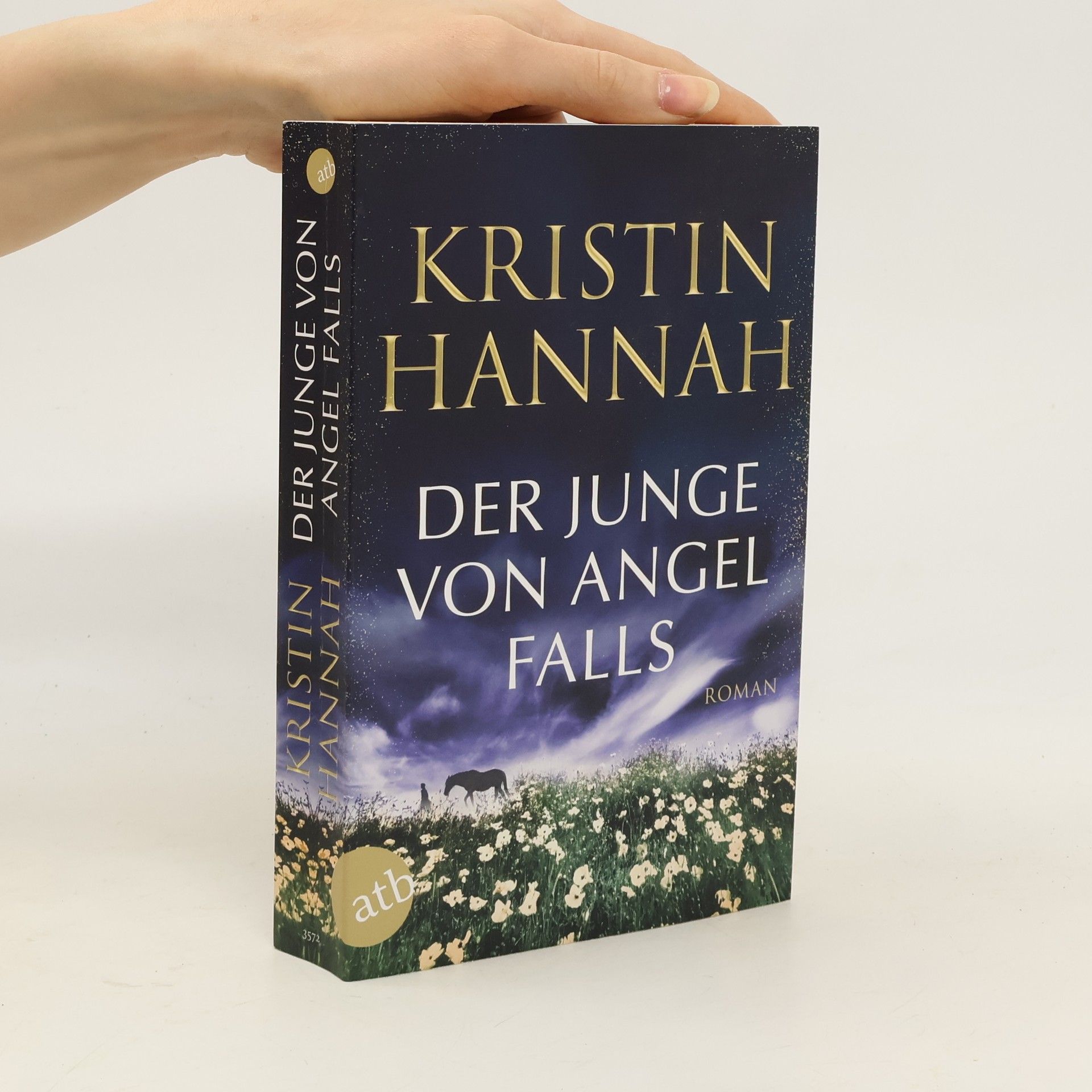 Kristin Hannah Der Junge von Angel Falls