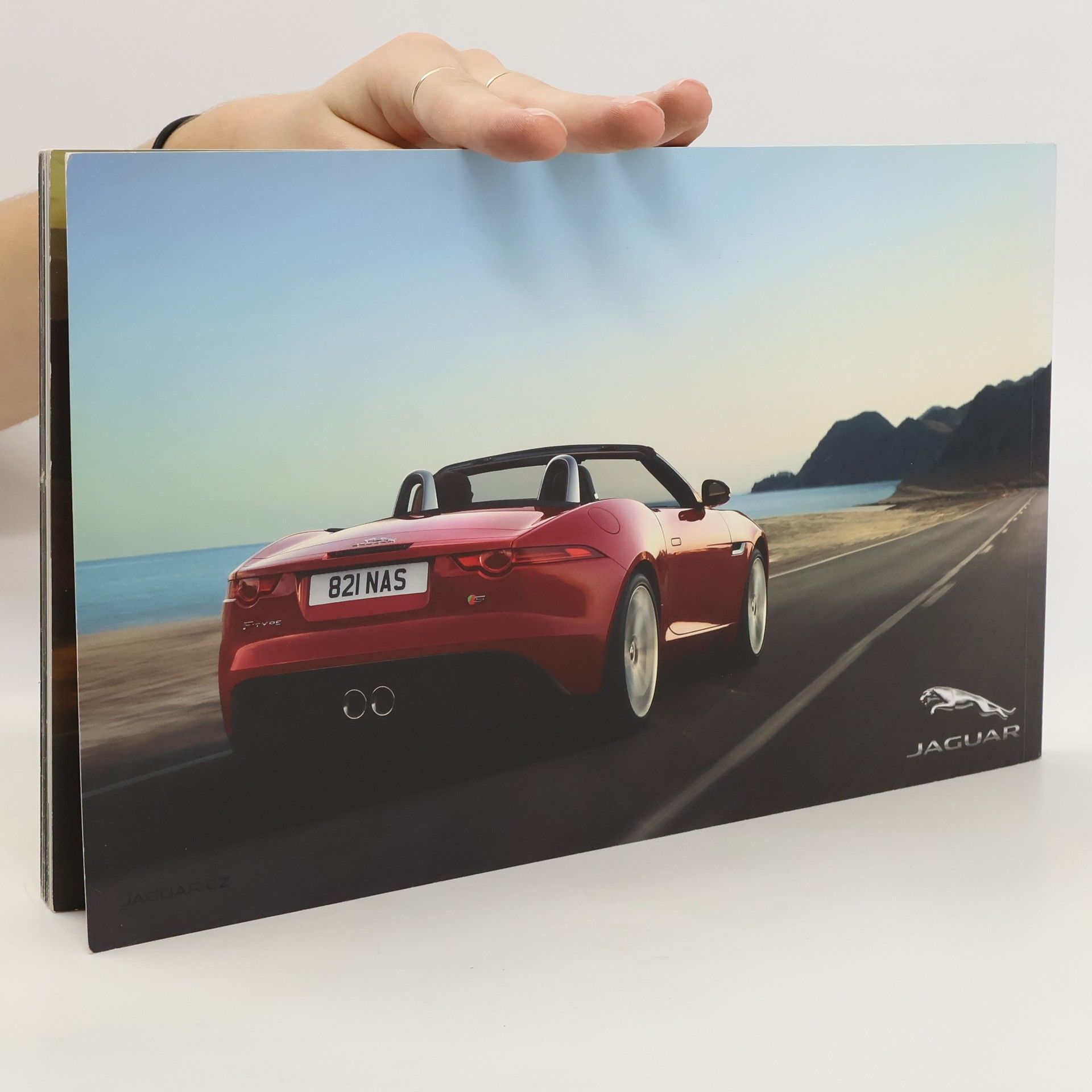 Autorenkollektiv Jaguar F-type