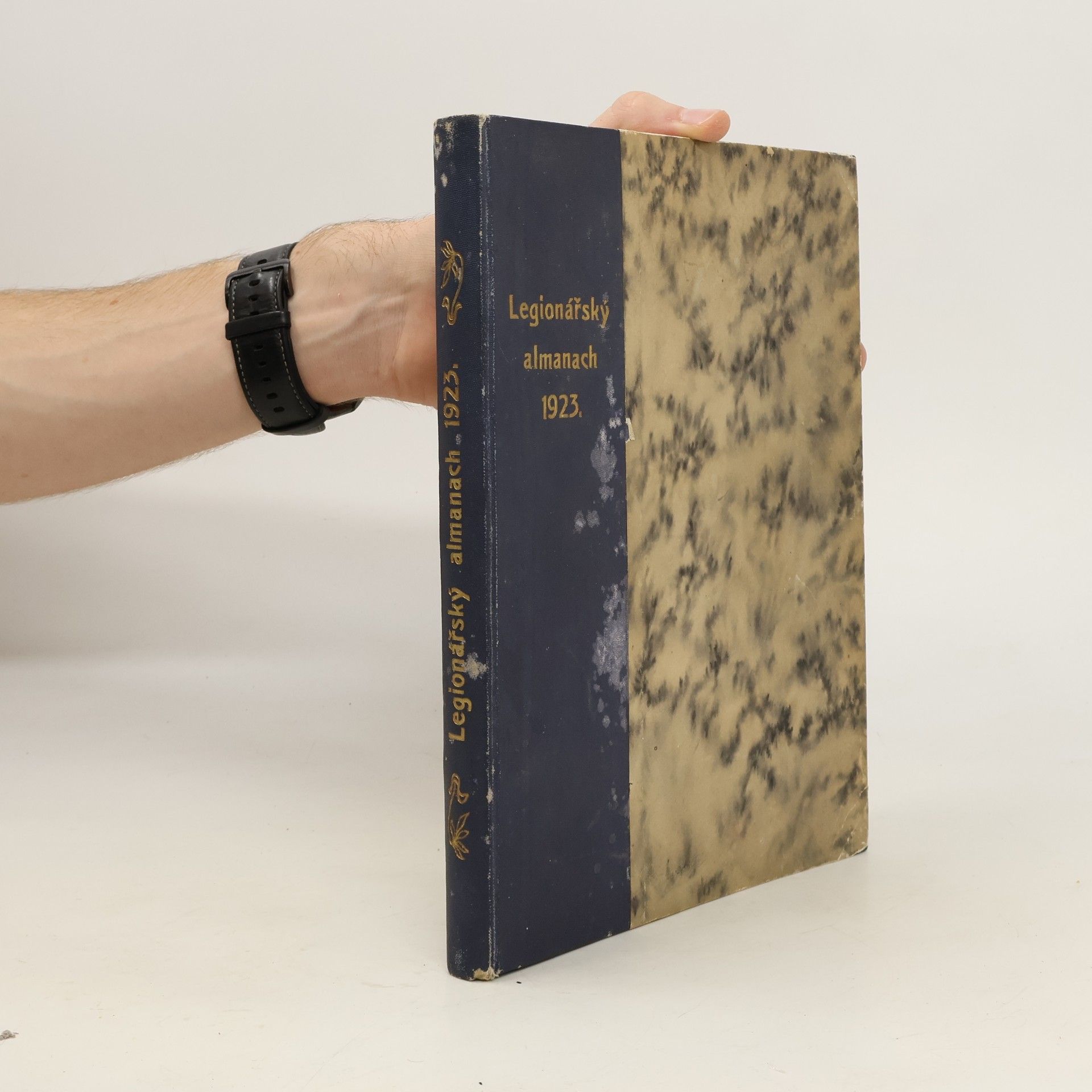 Kolektiv autorů Legionářský almanach