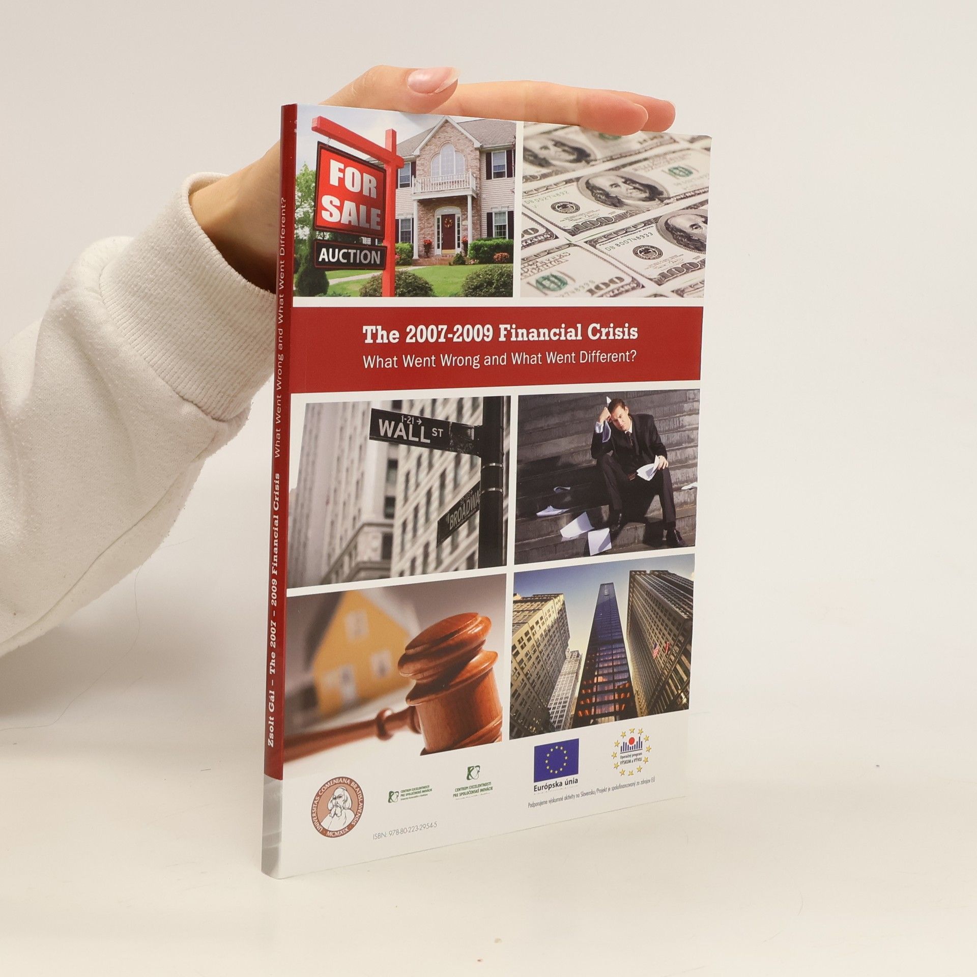 Auteurscollectief The 2007-2009 Financial Crisis