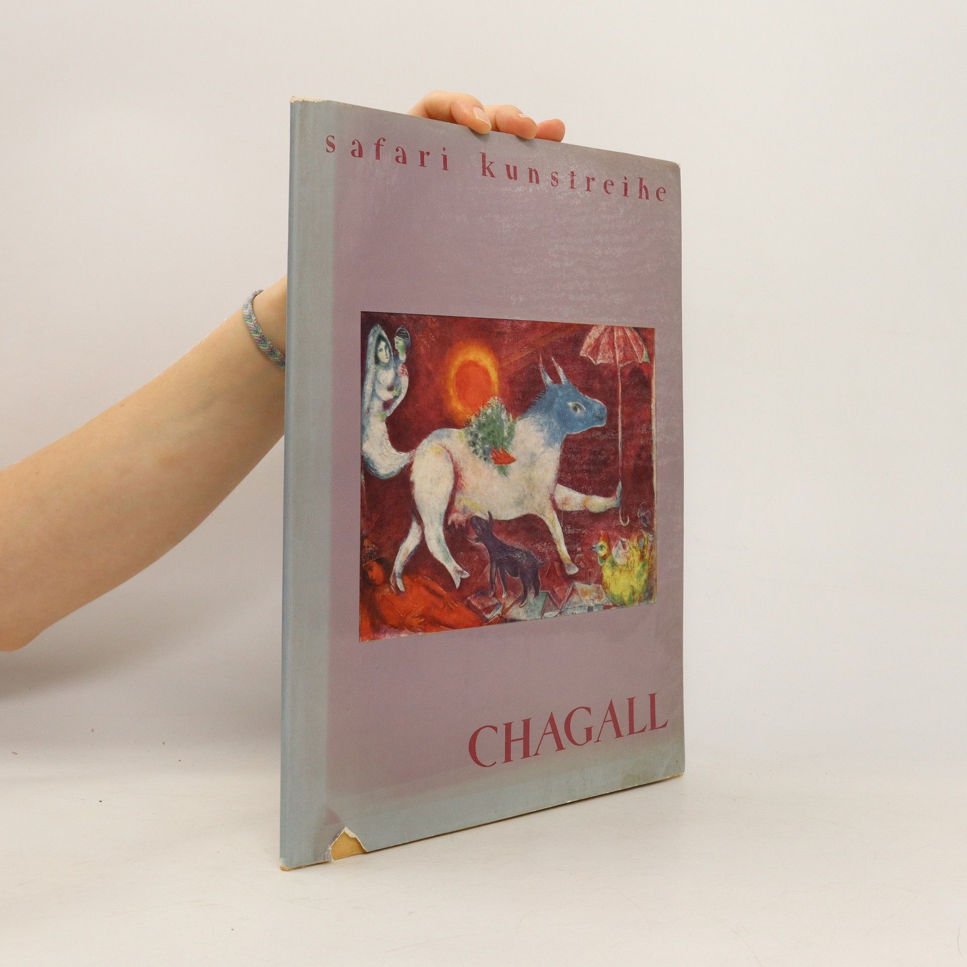 Autorenkollektiv Safari Kunstreihe