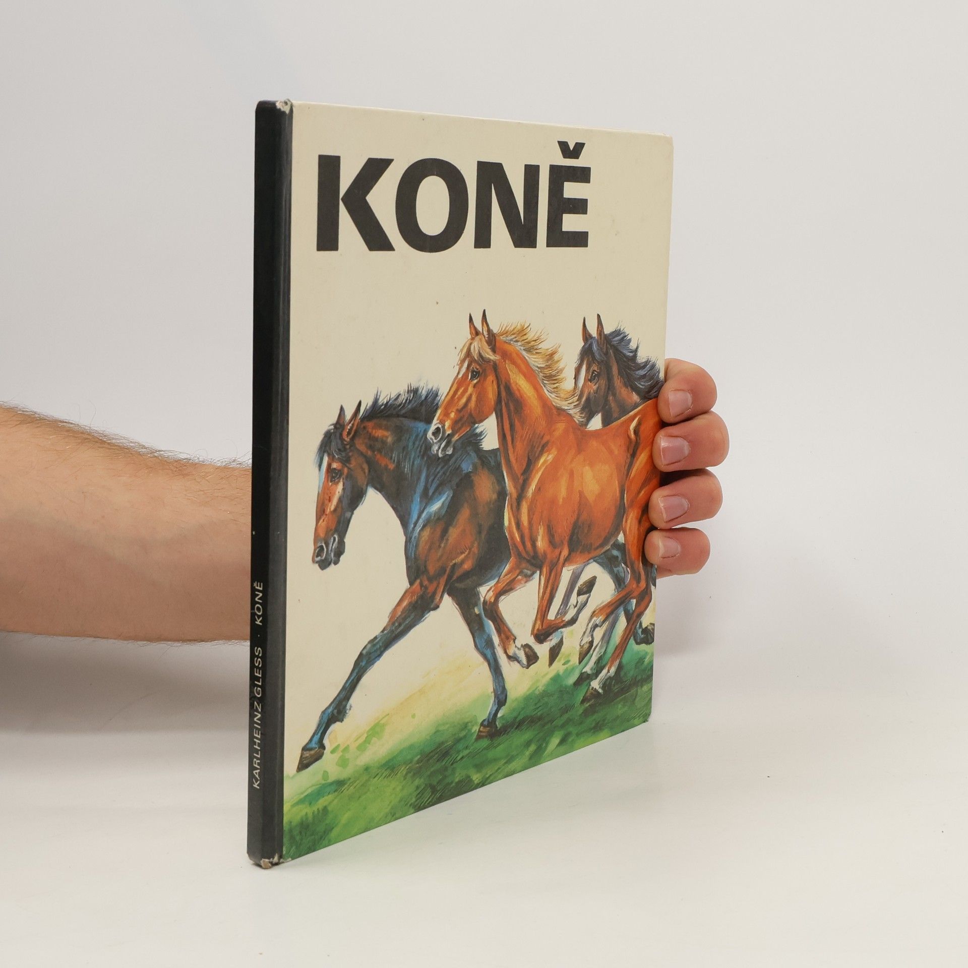 Autorenkollektiv Koně