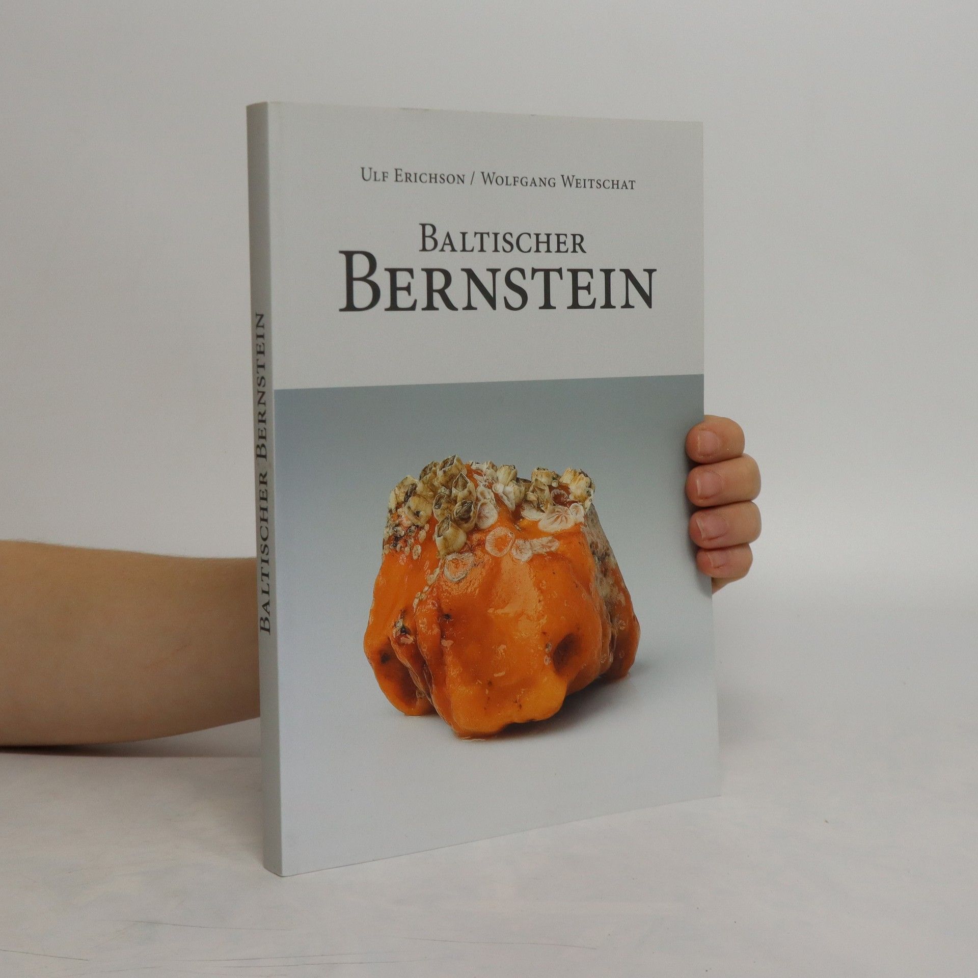 Ulf Erichson Baltischer Bernstein