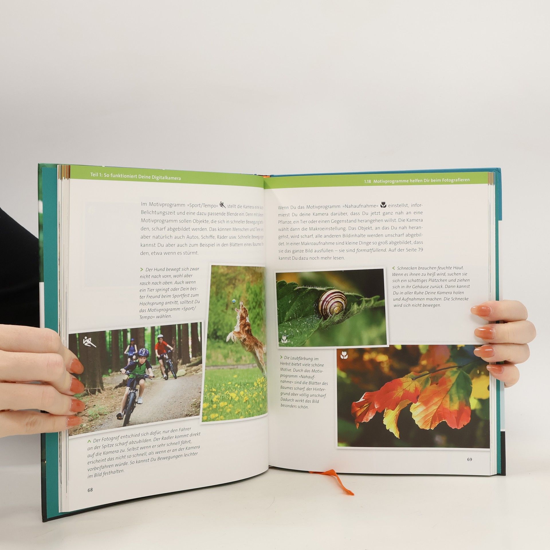 Günter Hauschild Der Fotokurs für junge Fotografen