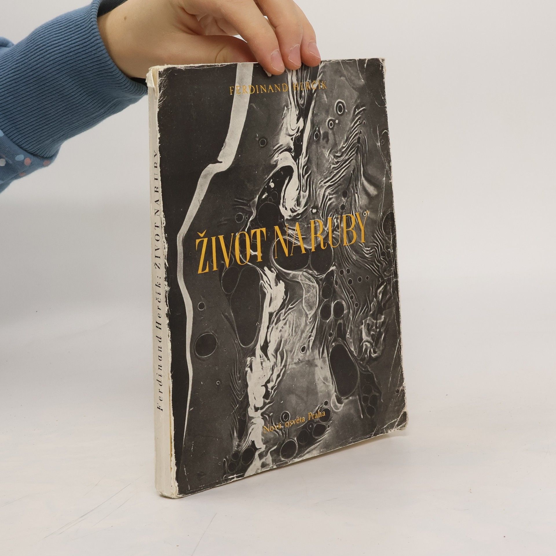 Fedinand Herčík Život naruby