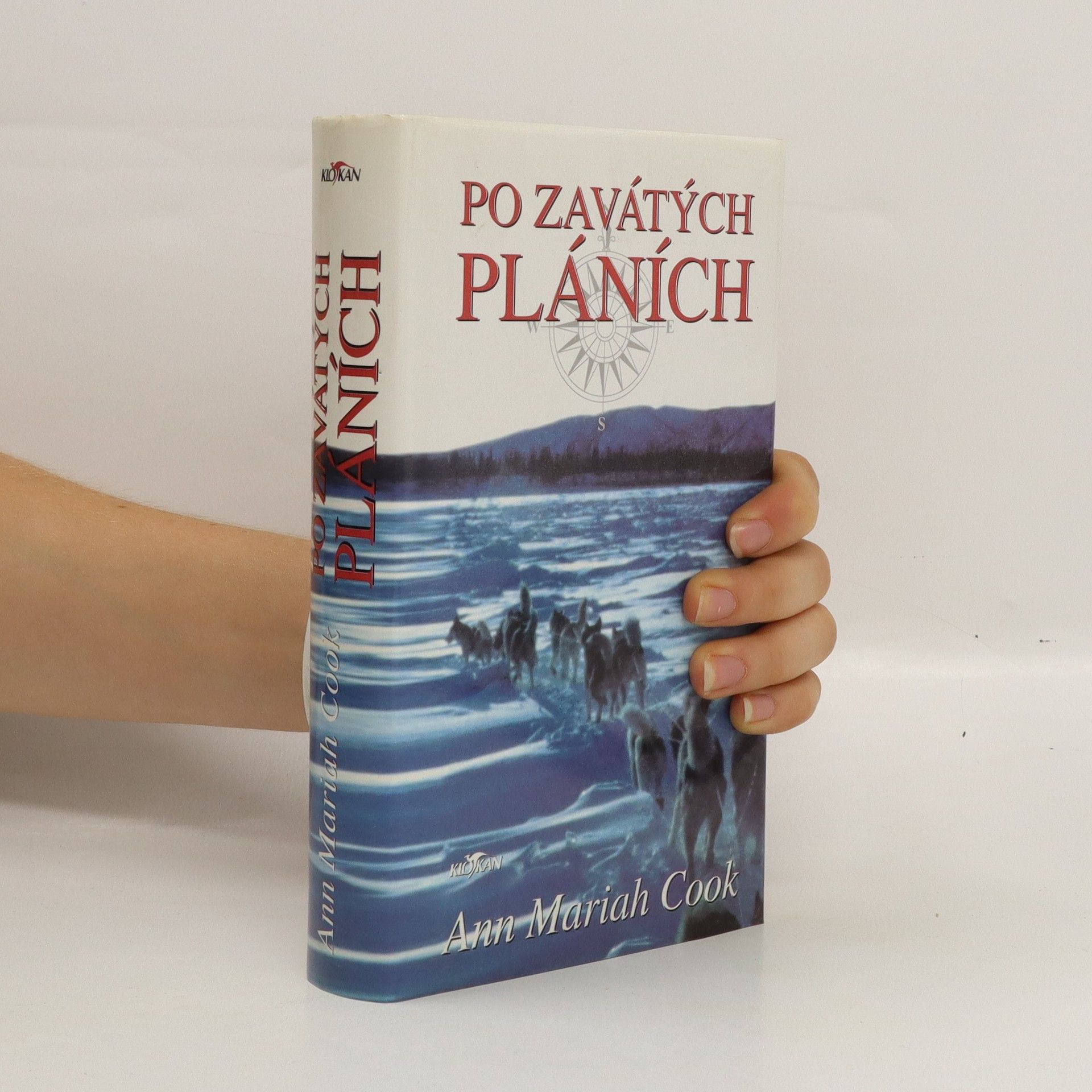 Ann Mariah Cook Po zavátých pláních