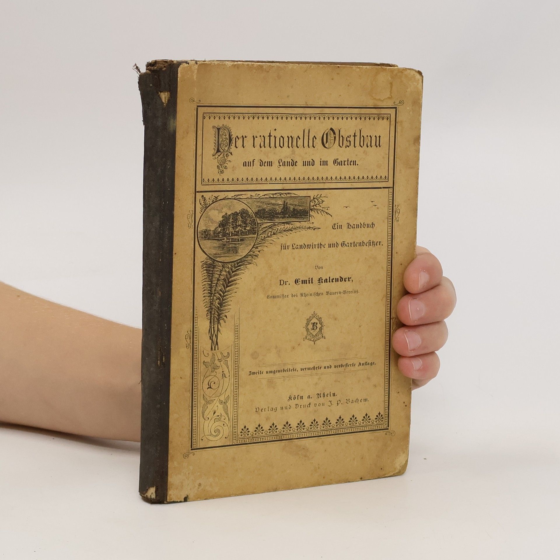 Autorenkollektiv Der rationelle Obstbau