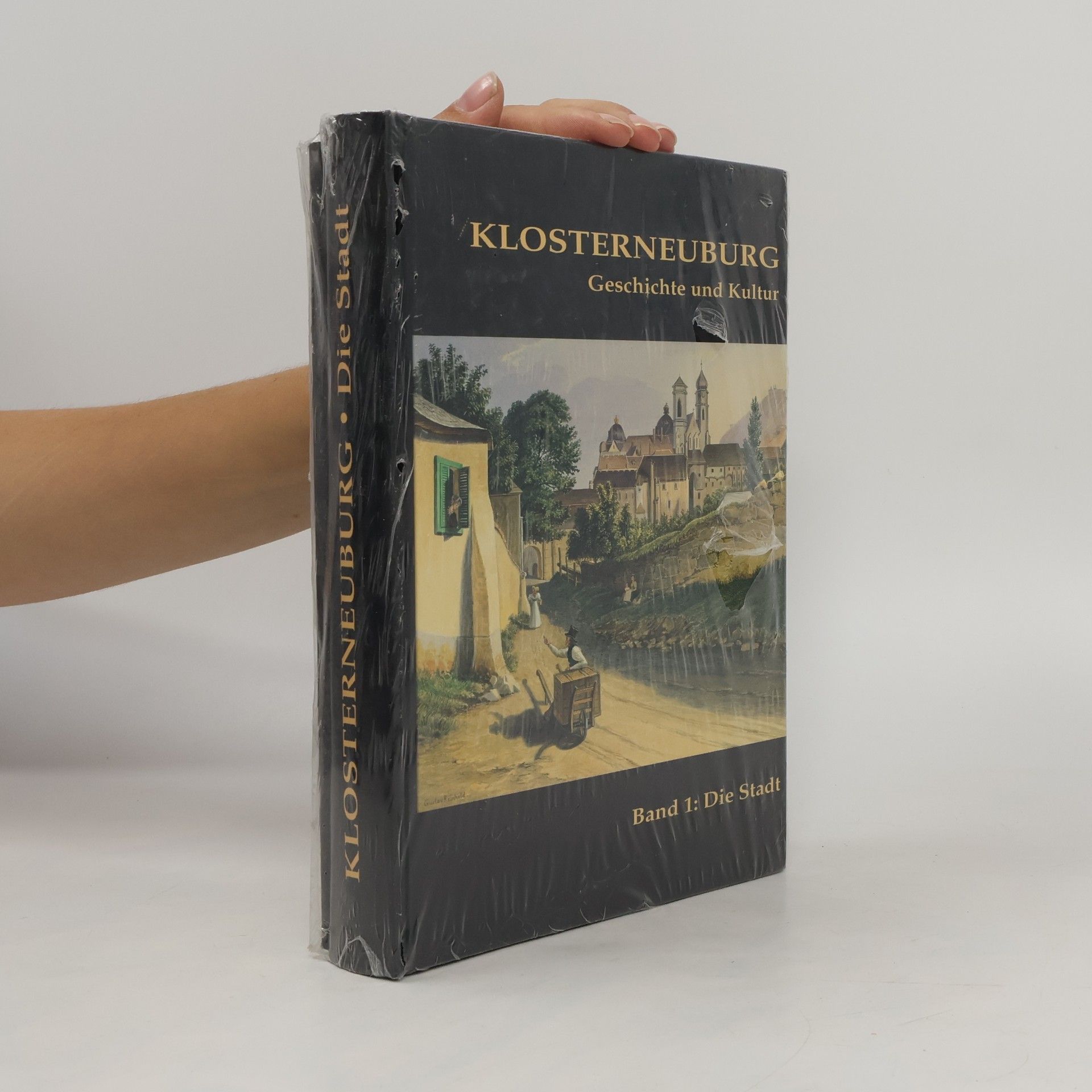 kolektiv Klosterneuburg. Die Stadt