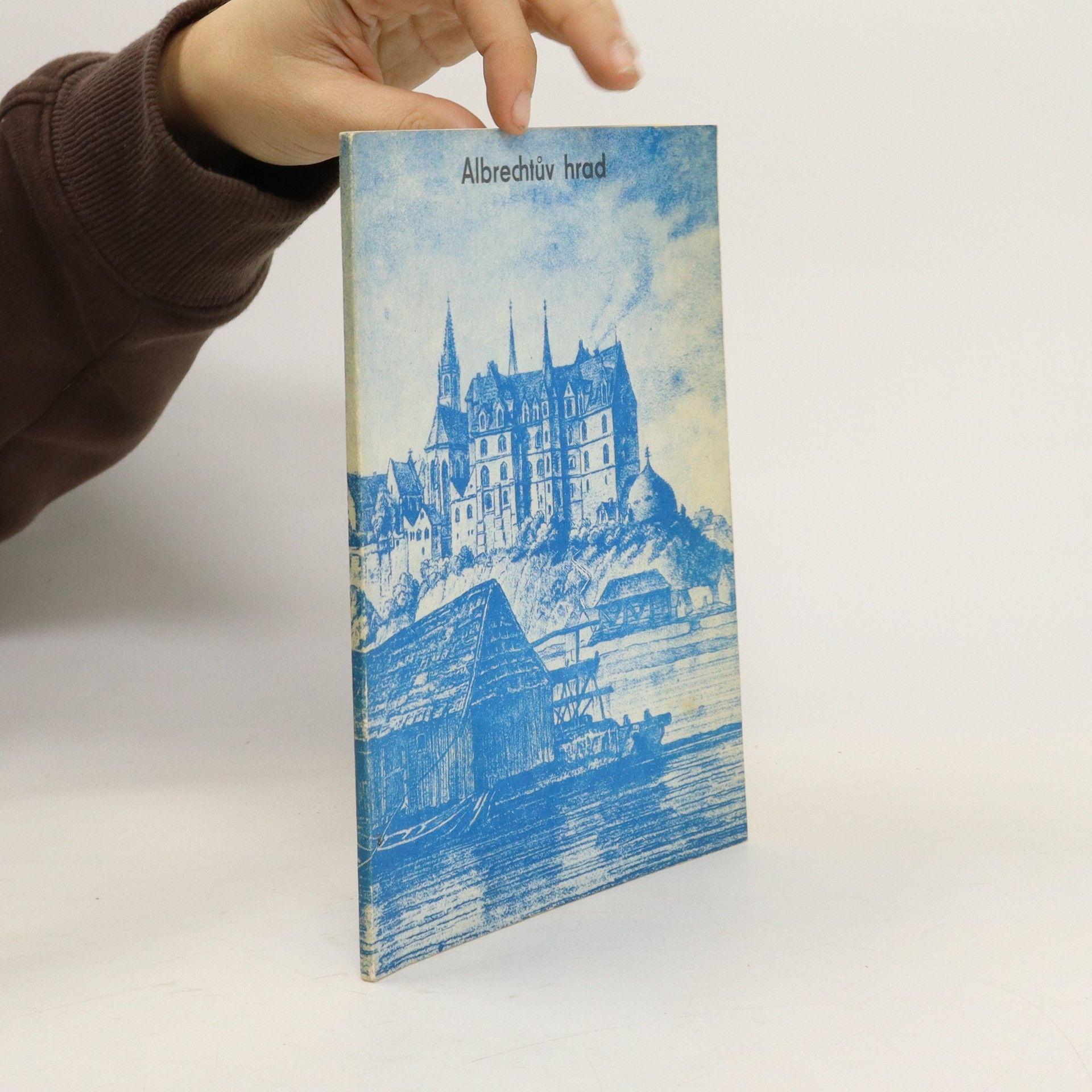 Kolektív autorov Albrechtův hrad