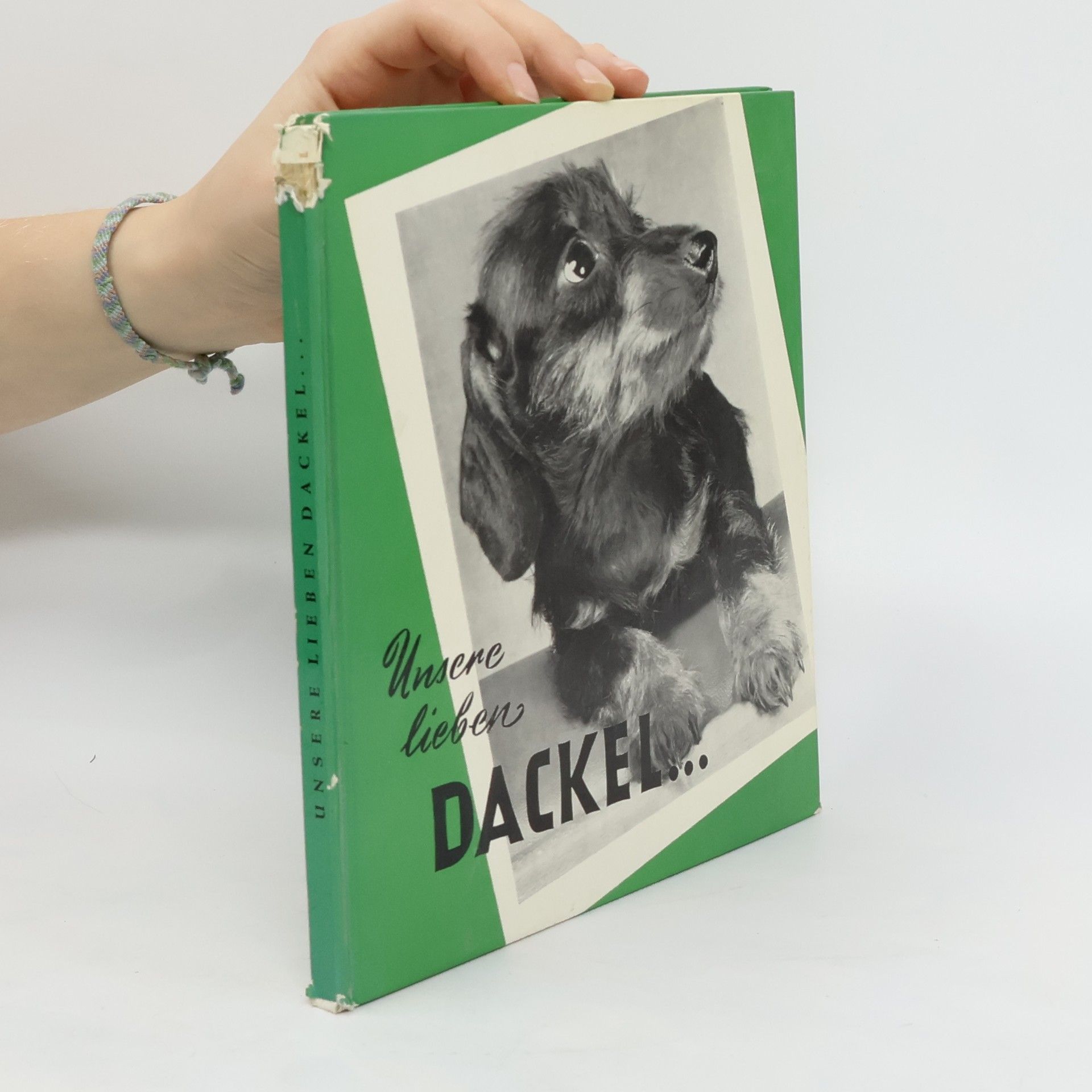 kolektiv Unsere lieben Dackel...