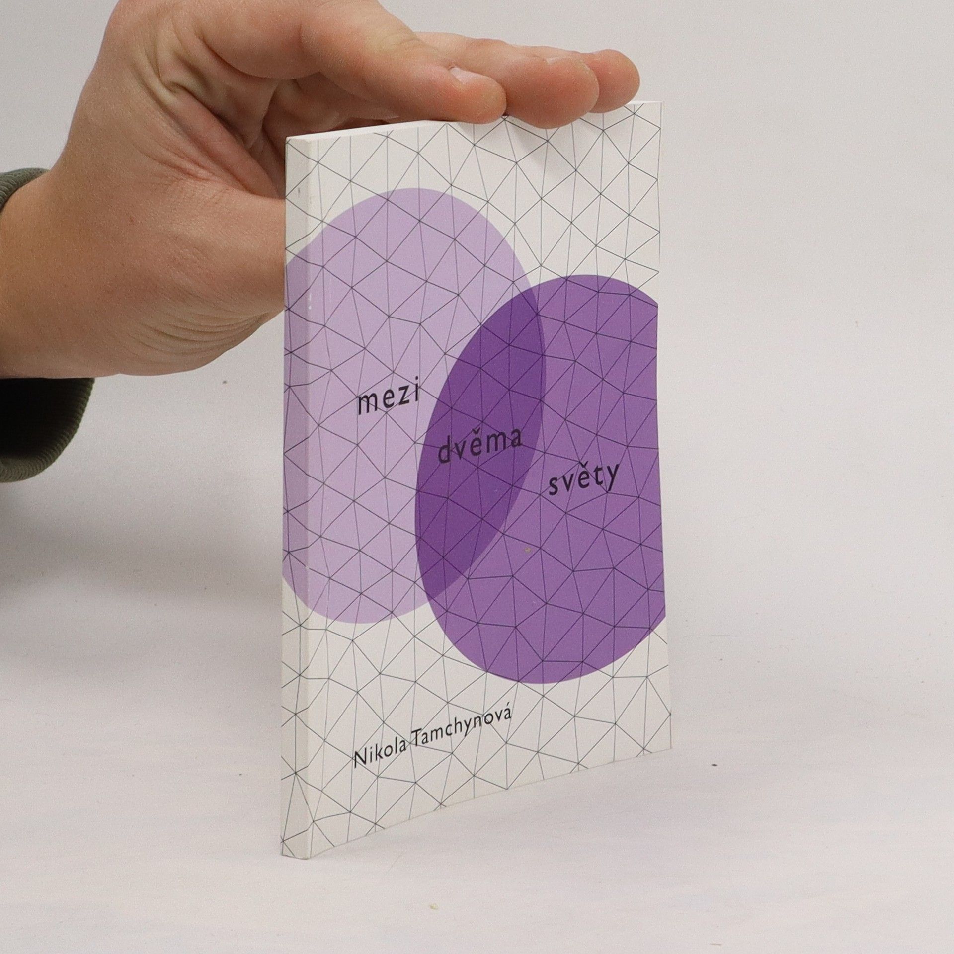 Nikola Tamchynová Mezi dvěma světy