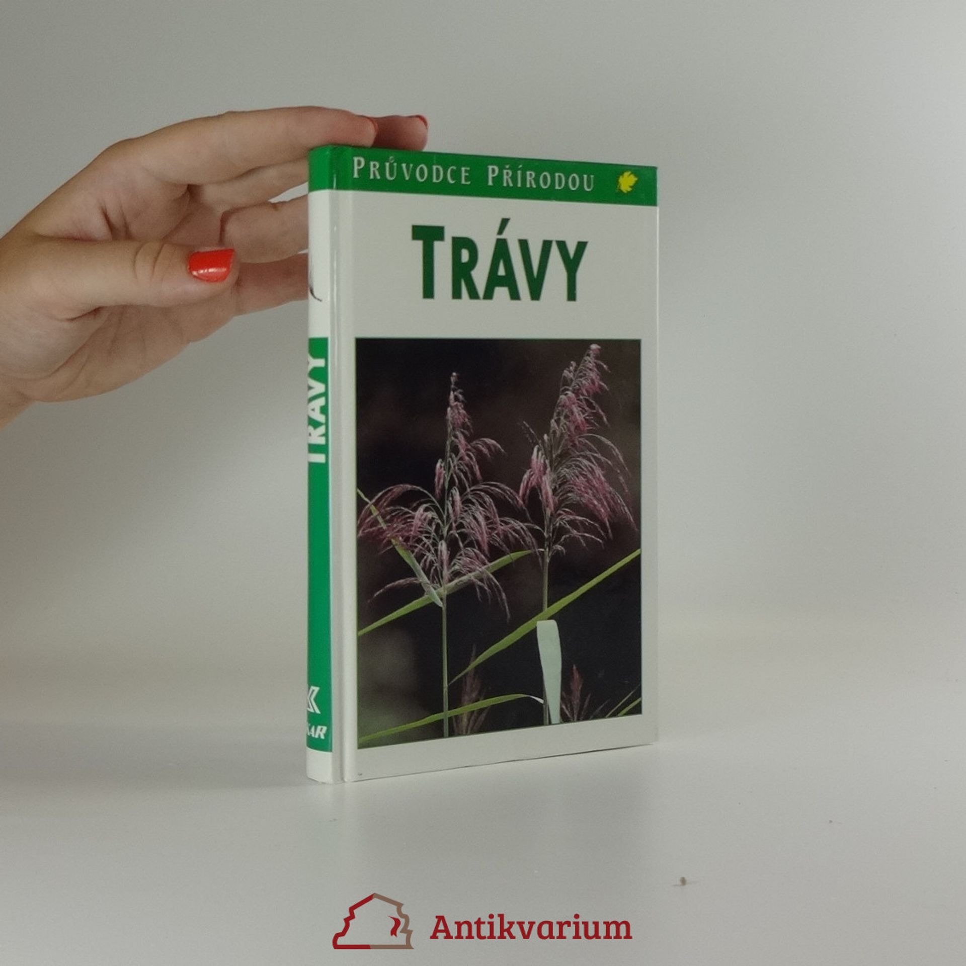 Jürke Grau Trávy