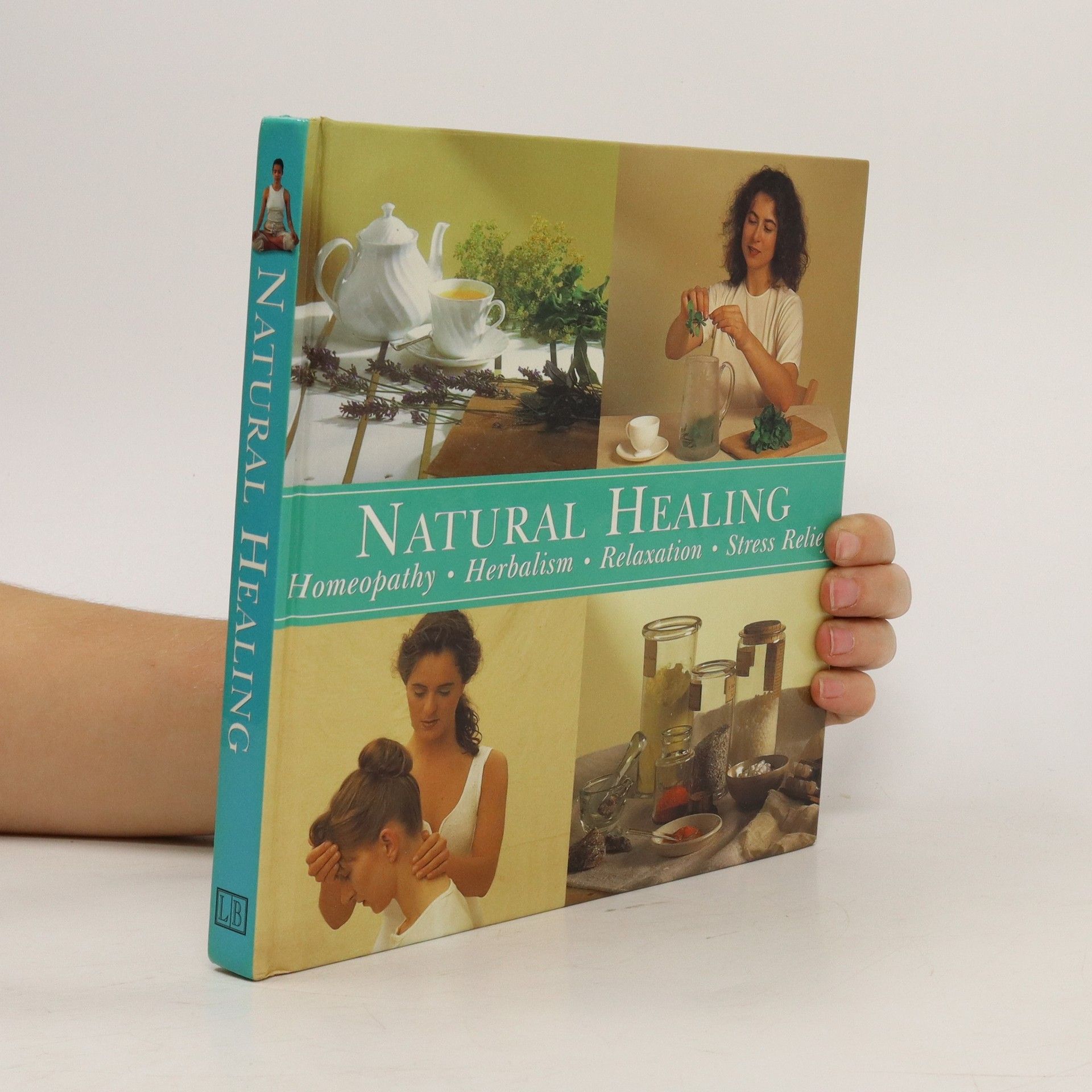 Various authors Natural Healing