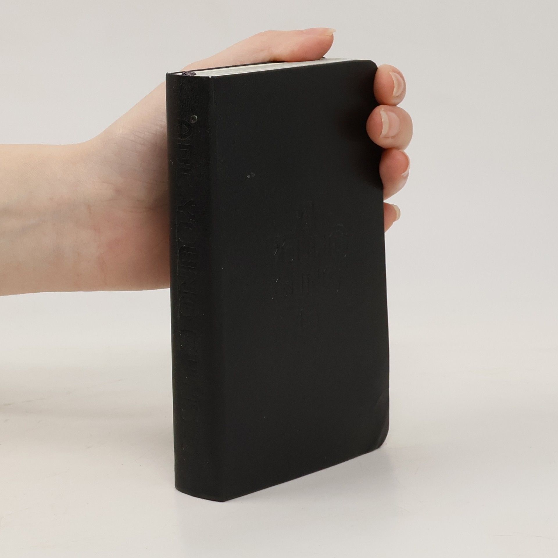 Collectif d'auteurs ANC young Guns 6: The Final Fifty