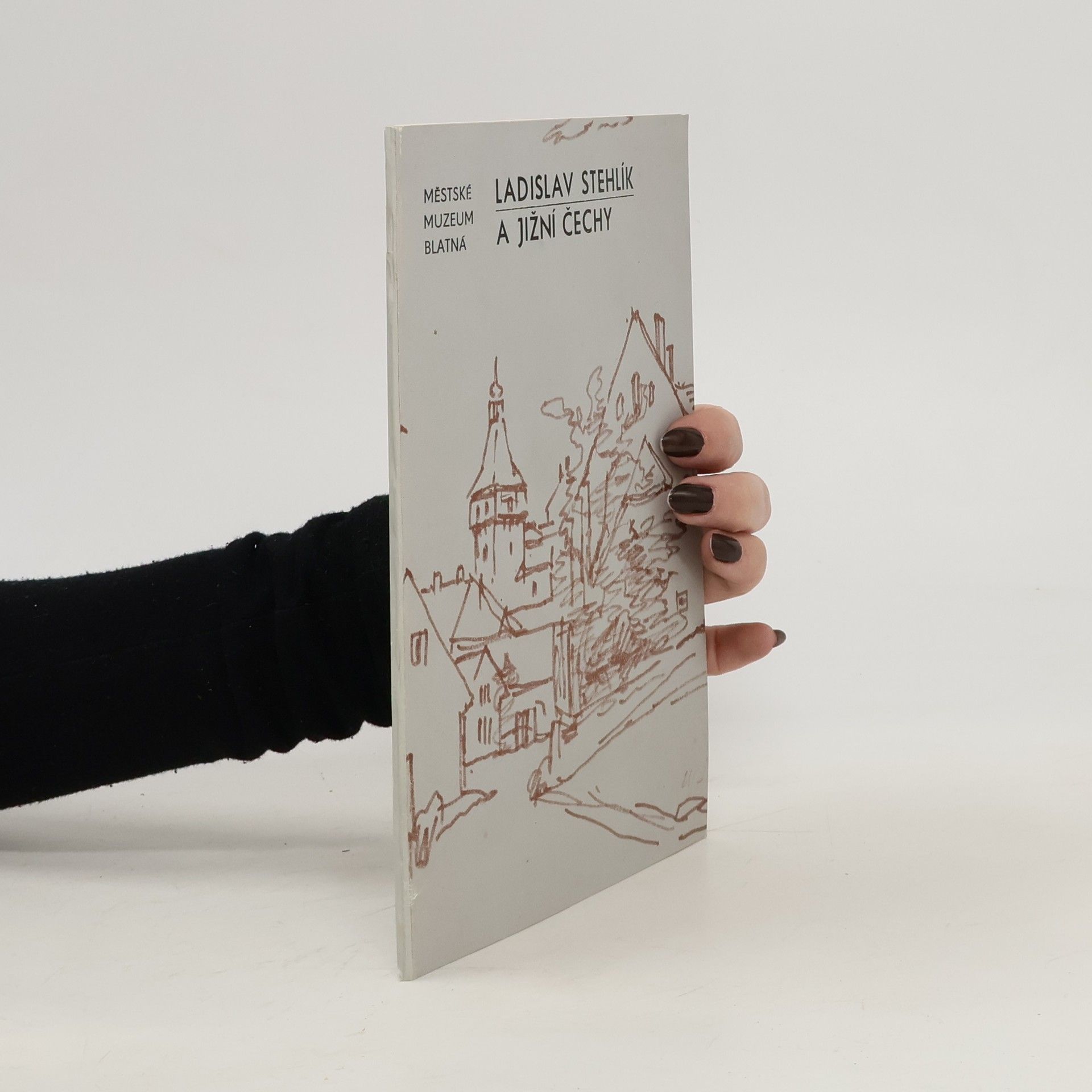 Collectif d'auteurs Ladislav Stehlík a Jižní Čechy