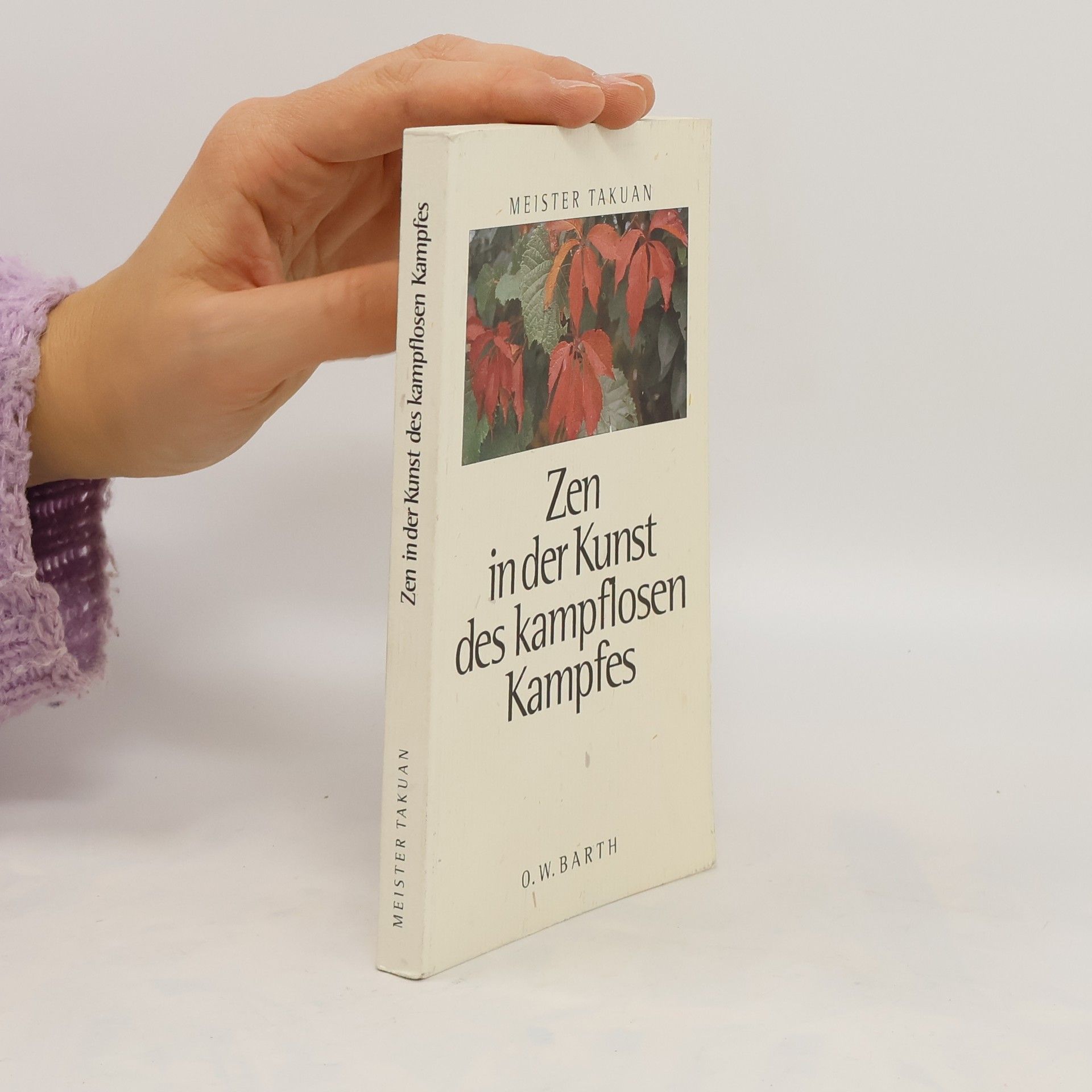 Miester Takuan Zen in der Kunst des kampflosen Kampfes