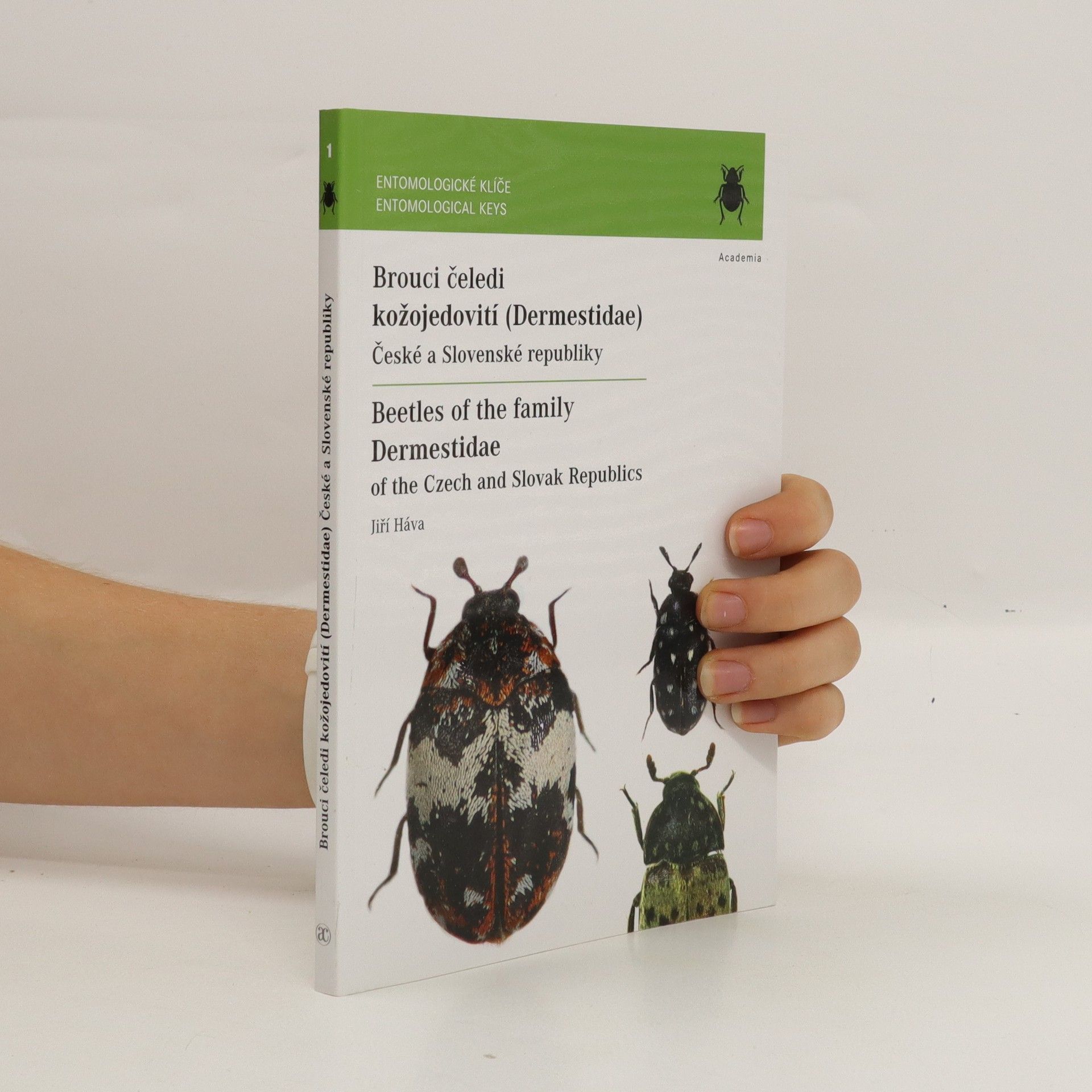 Jiří Háva Brouci čeledi kožojedovití, Beetles of the family Dermestidae
