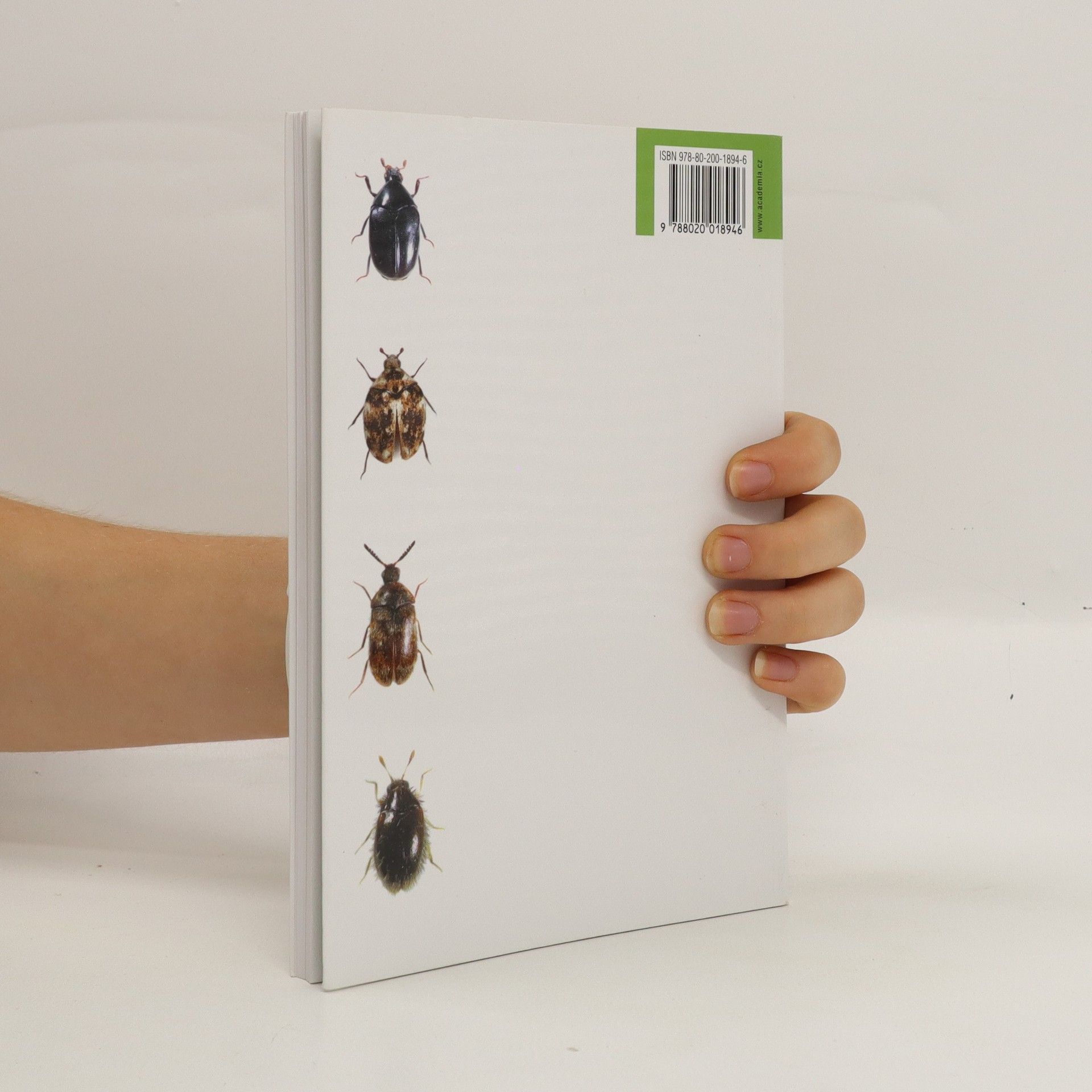 Jiří Háva Brouci čeledi kožojedovití, Beetles of the family Dermestidae