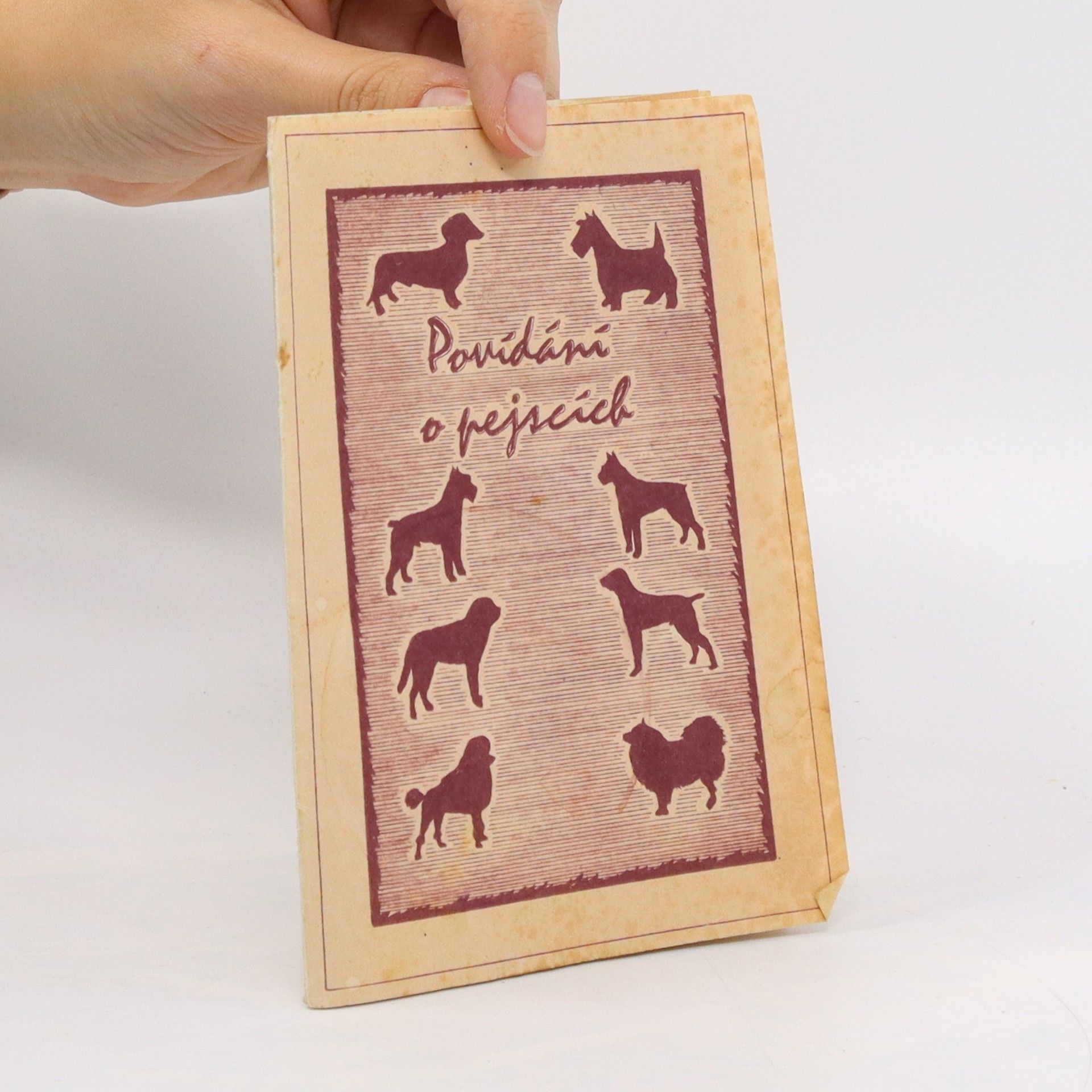 Kolektiv autorů Povídání o pejscích