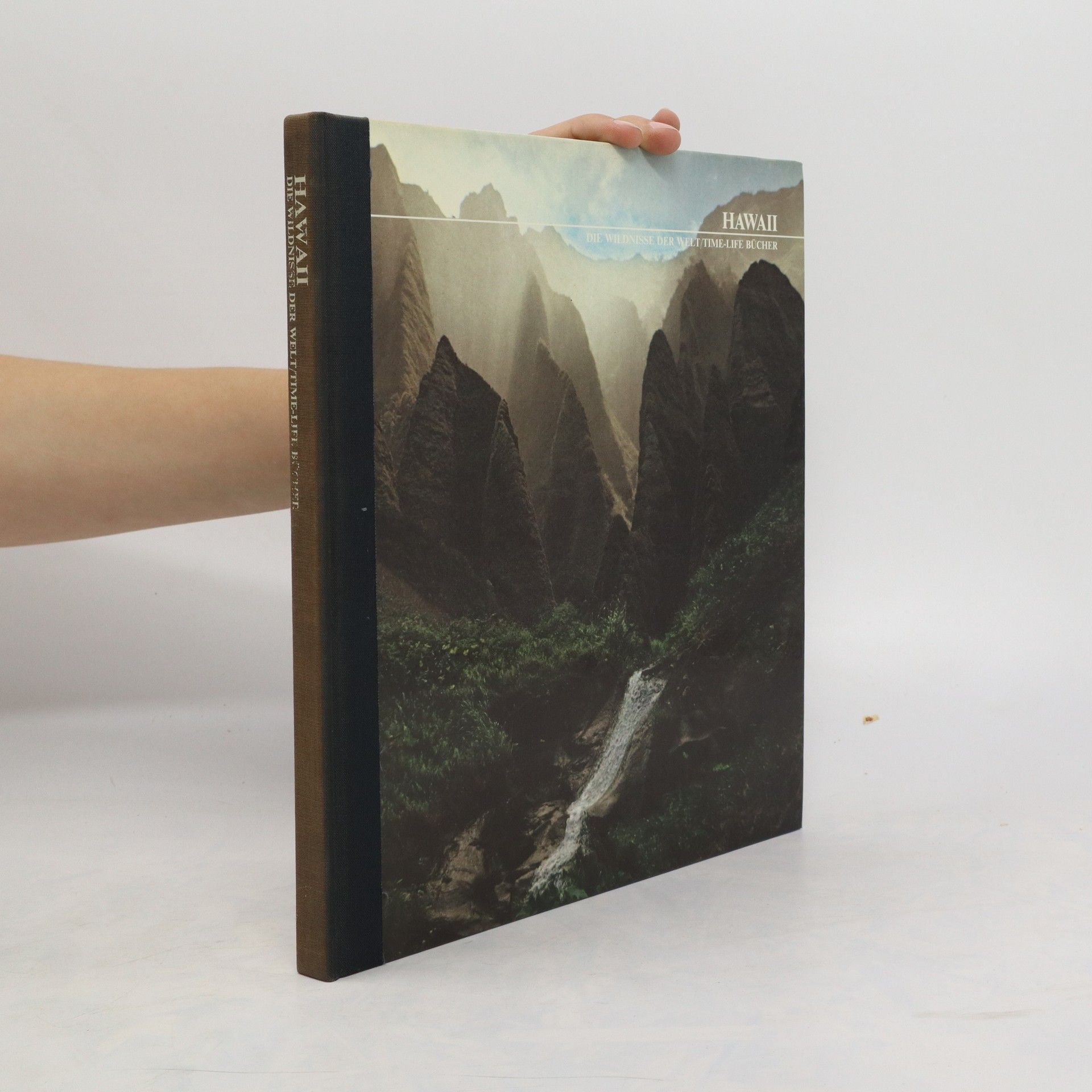 Autorenkollektiv Hawaii