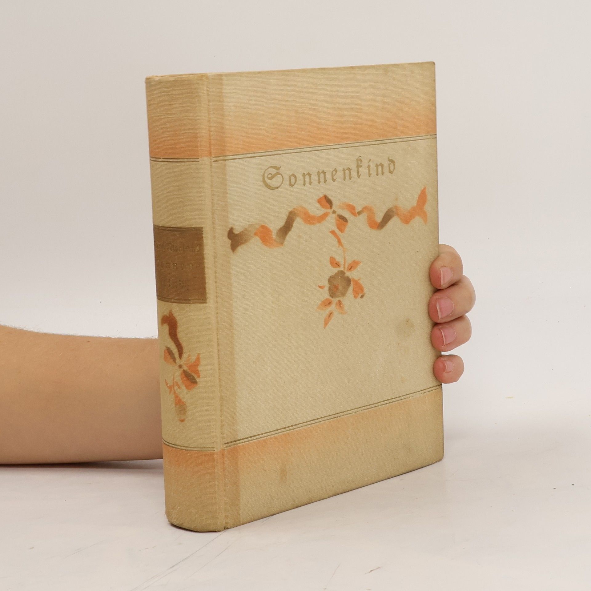 Margarete Nicholaus Sonnenkind Ein Lebensbild Band 2