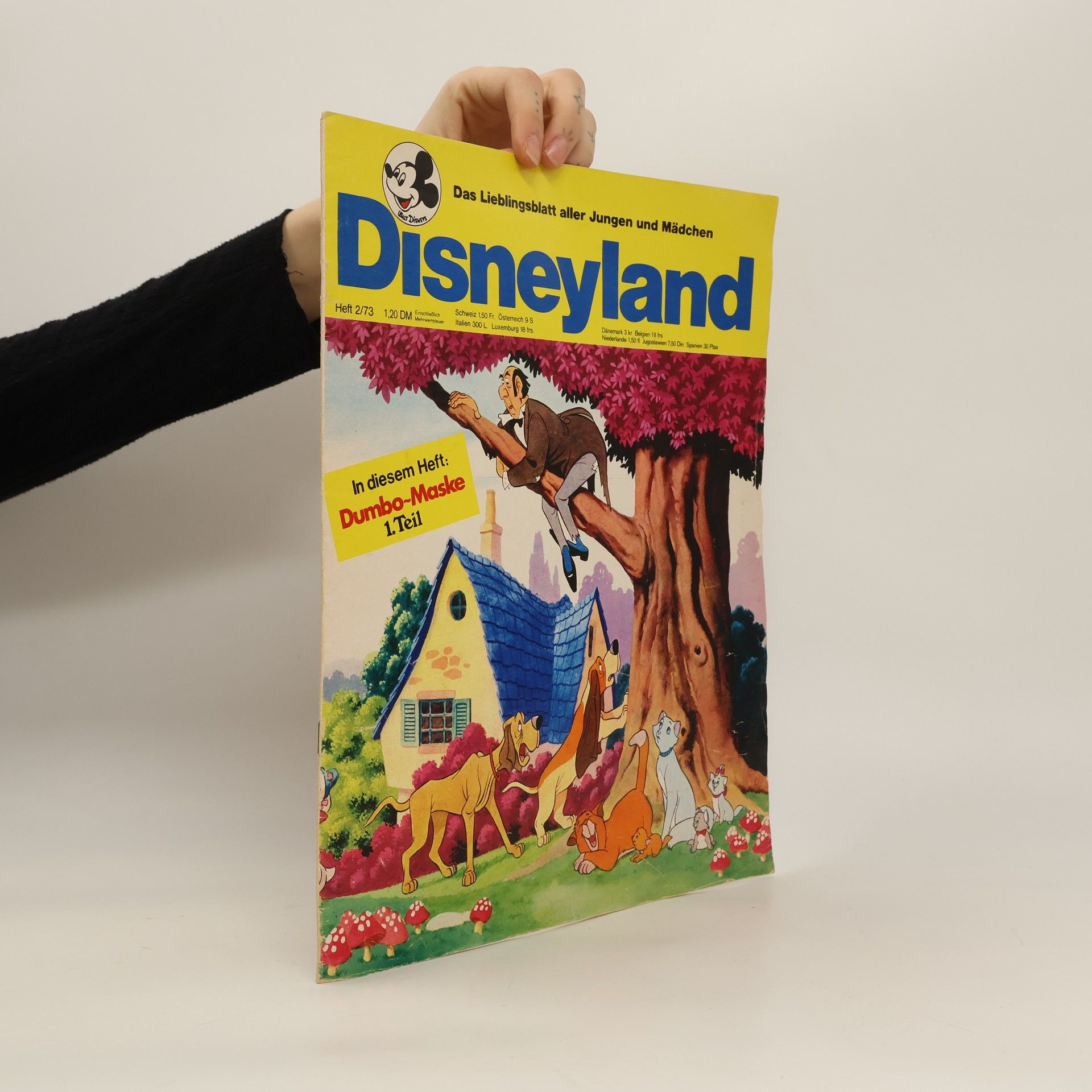 Various authors Disneyland