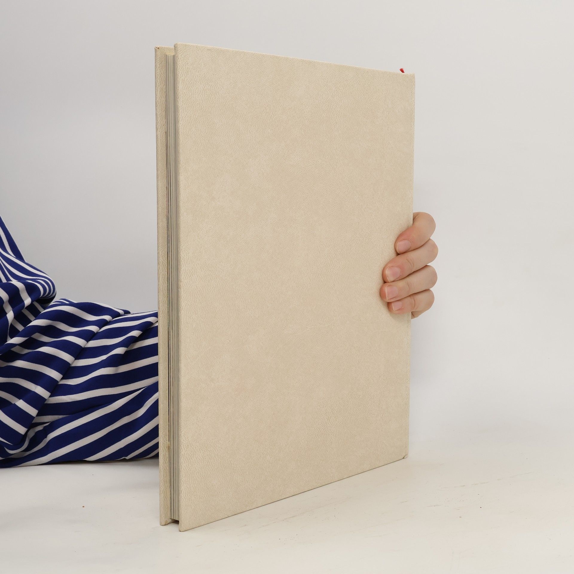 Judy Brittain Handarbeiten 2
