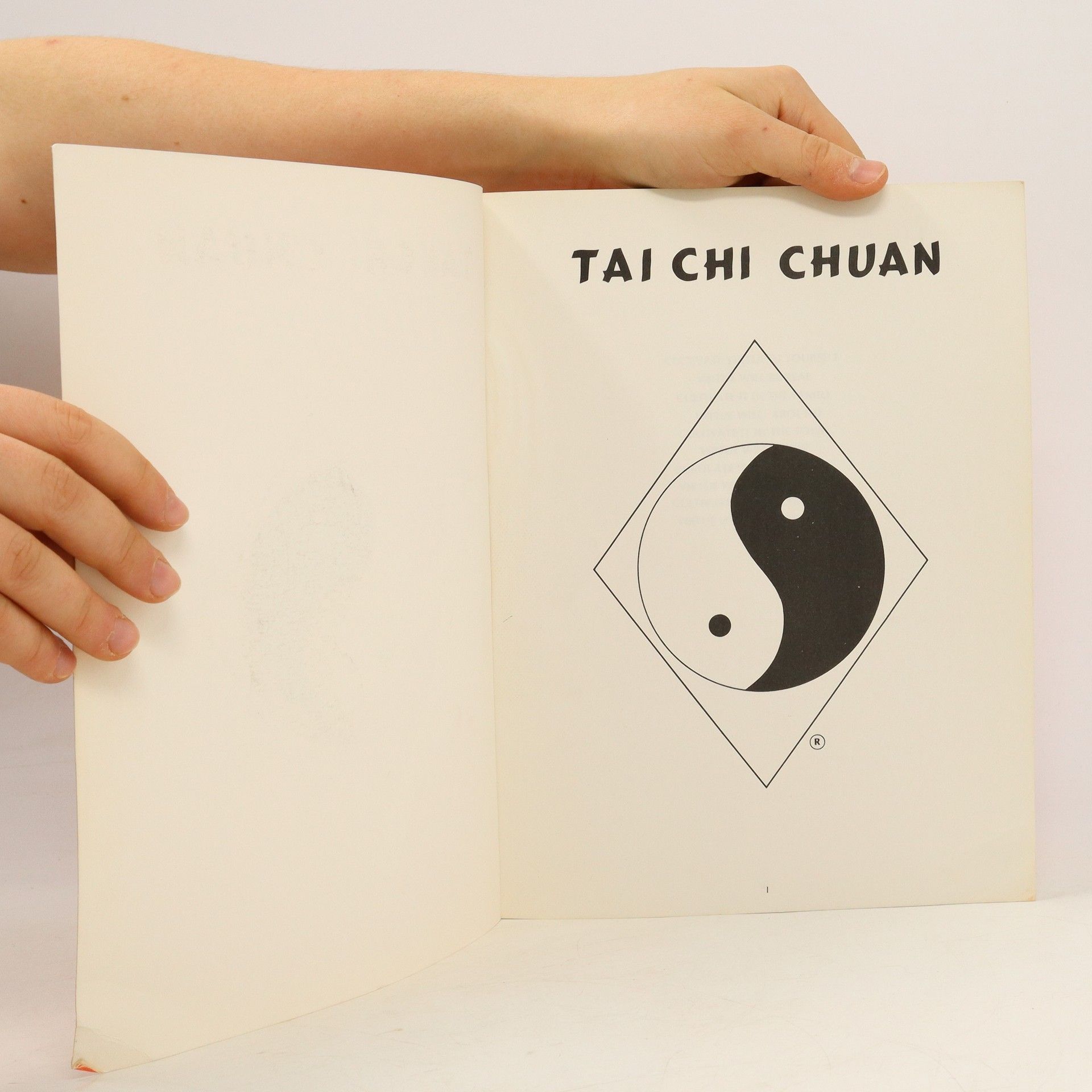 Andrew C. L. Lum Tai Chi Chuan Ultimate