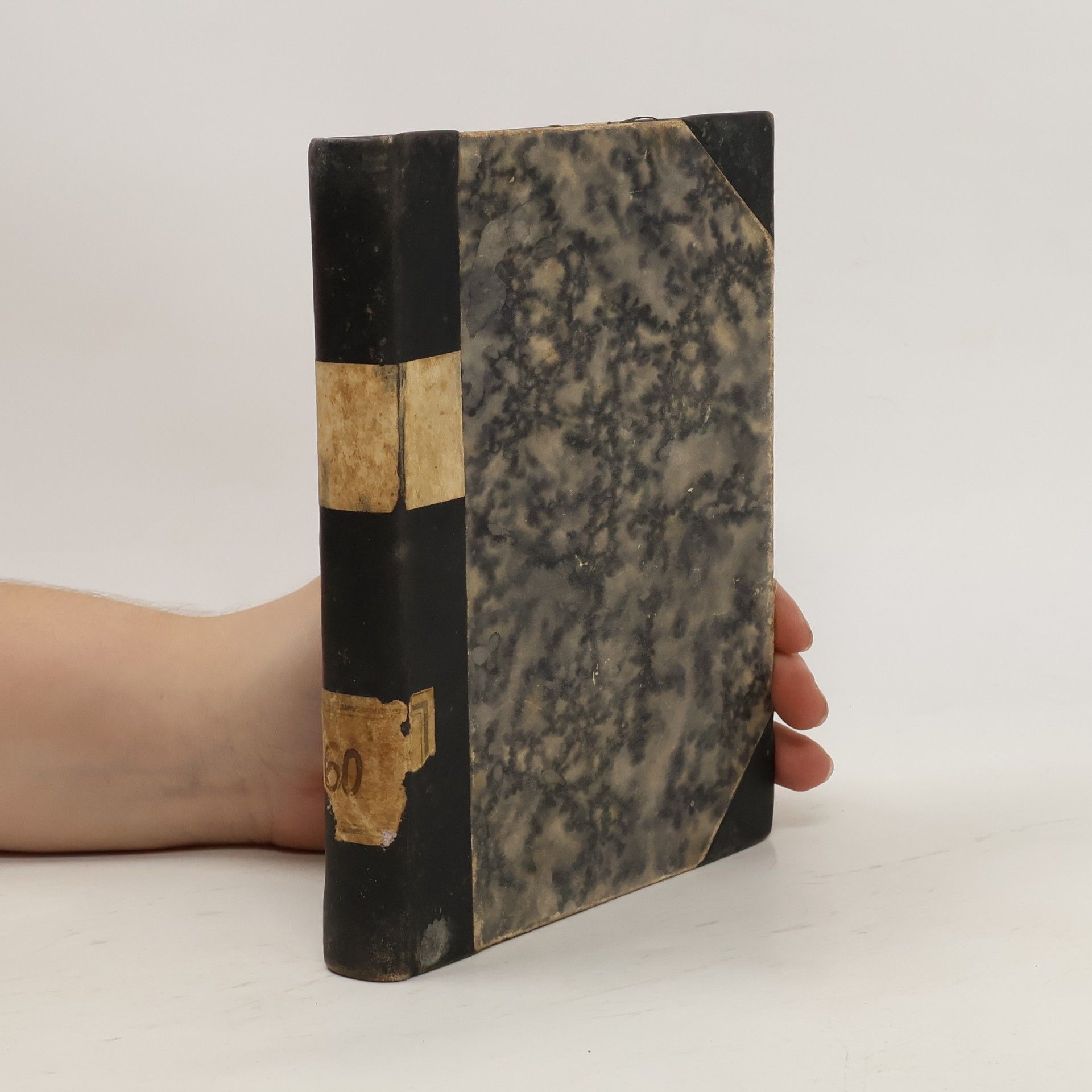 Kolektiv autorů Král Jiří Poděbrad