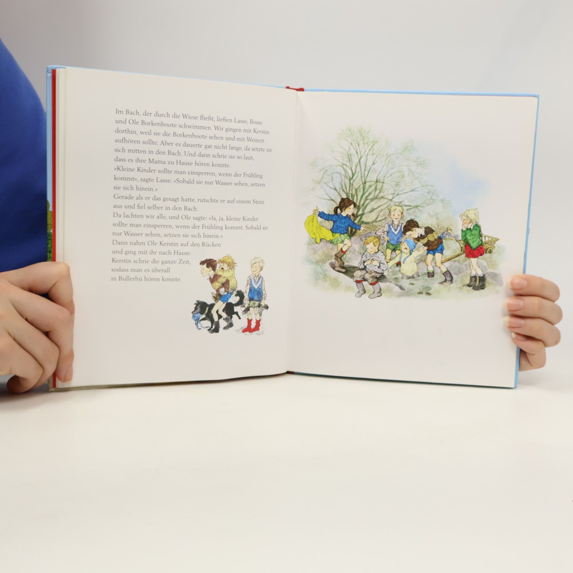 Astrid Lindgren Geschichten aus Bullerbu