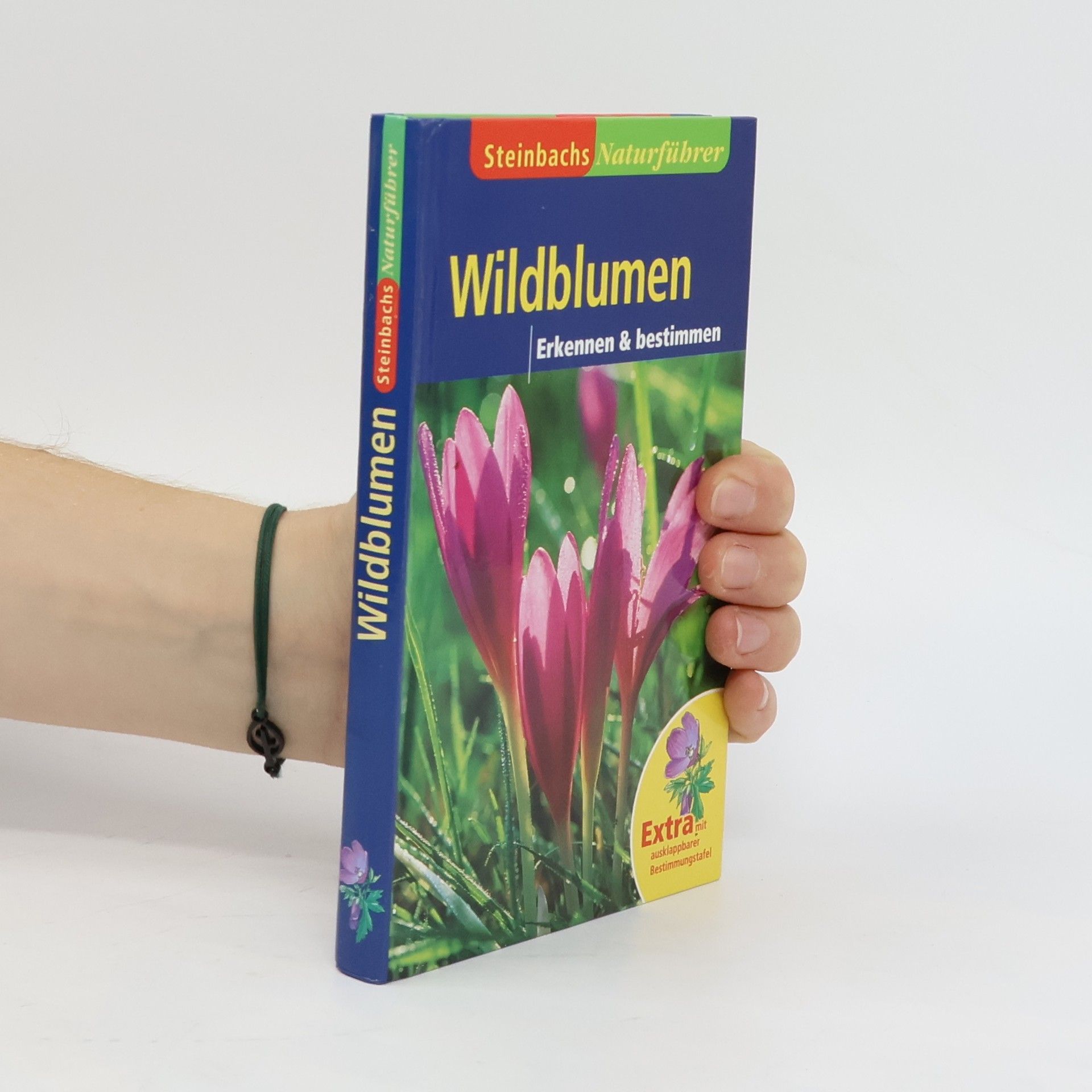 Autorenkollektiv Wildblumen. Erkennen & bestimmen