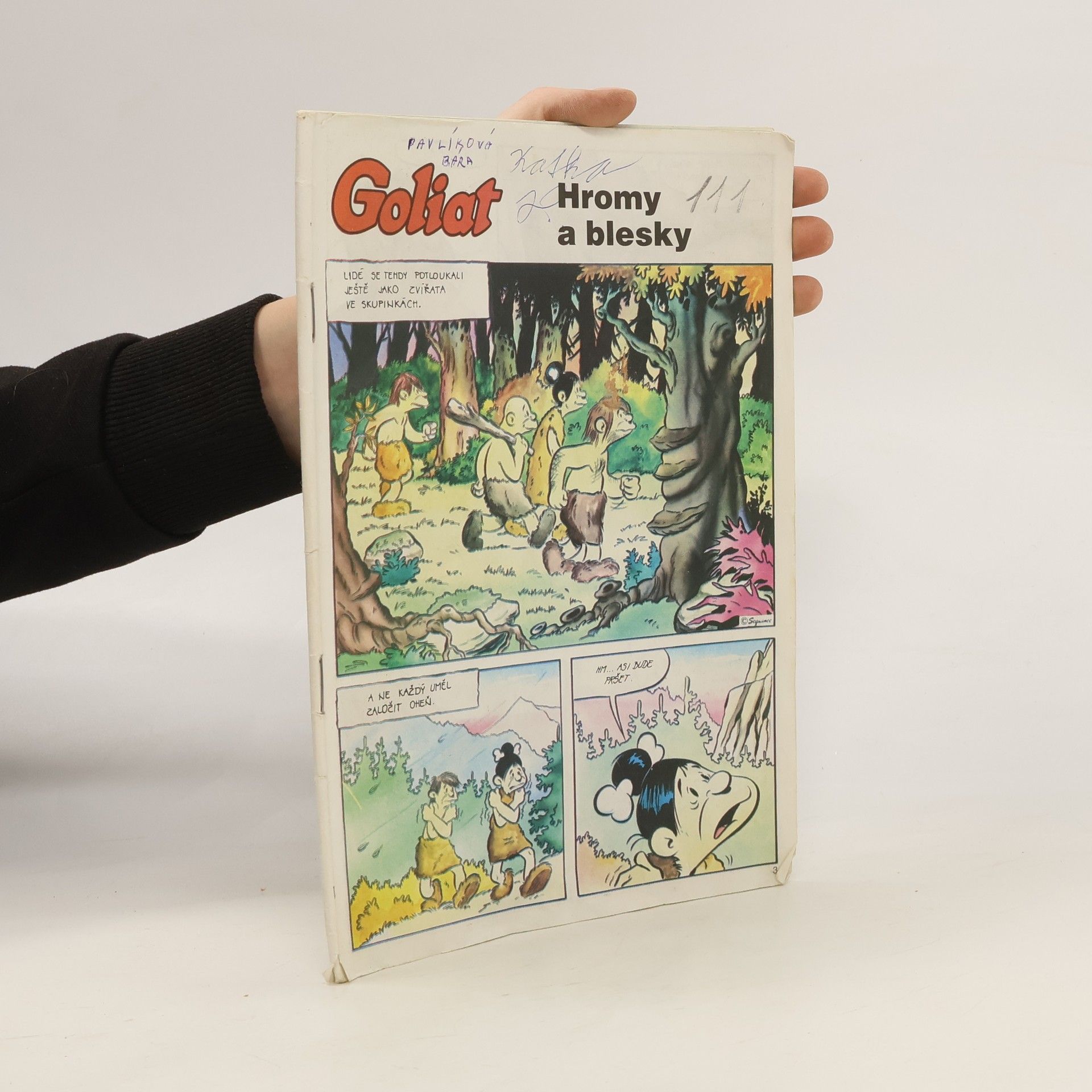 Auteurscollectief Goliat. Hromy a blesky