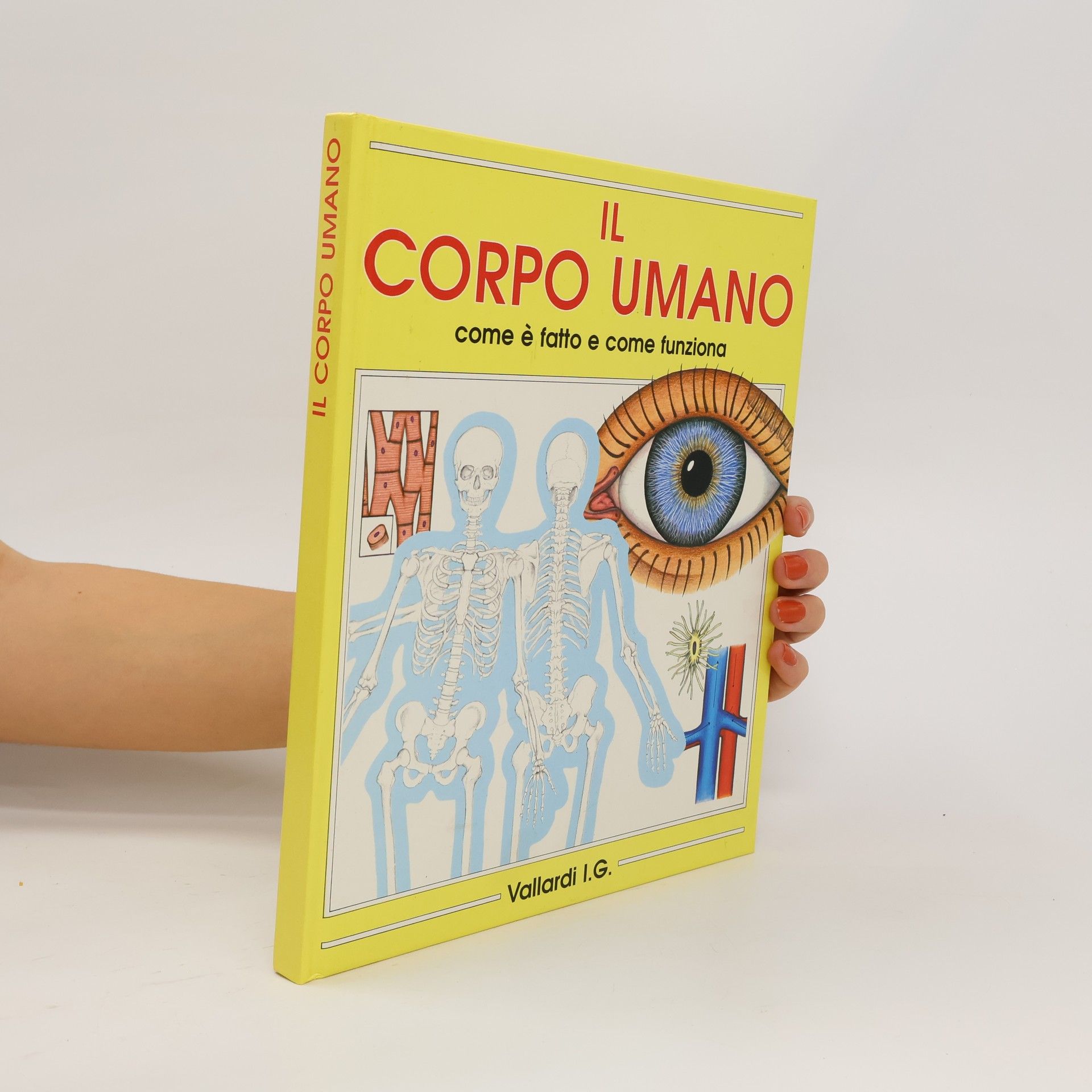 AA.VV. Il Corpo Umano