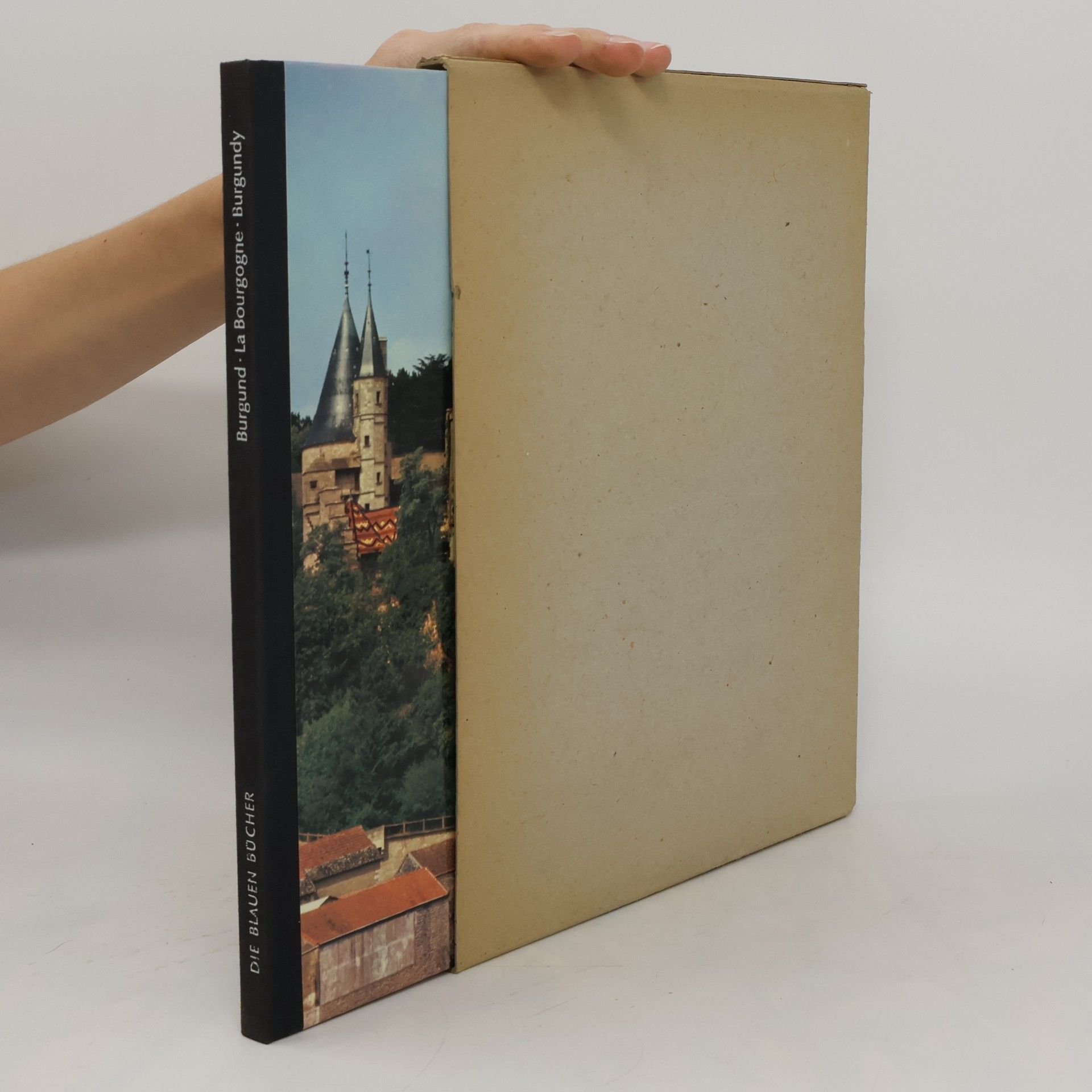 AA.VV. Die blauen Bücher. Burgund. La Bourgogne. Burgundy