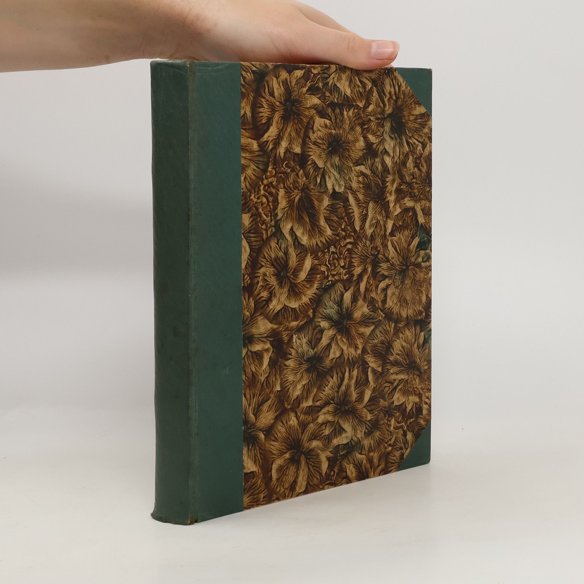 Jindřich Vejnar Úderný prapor